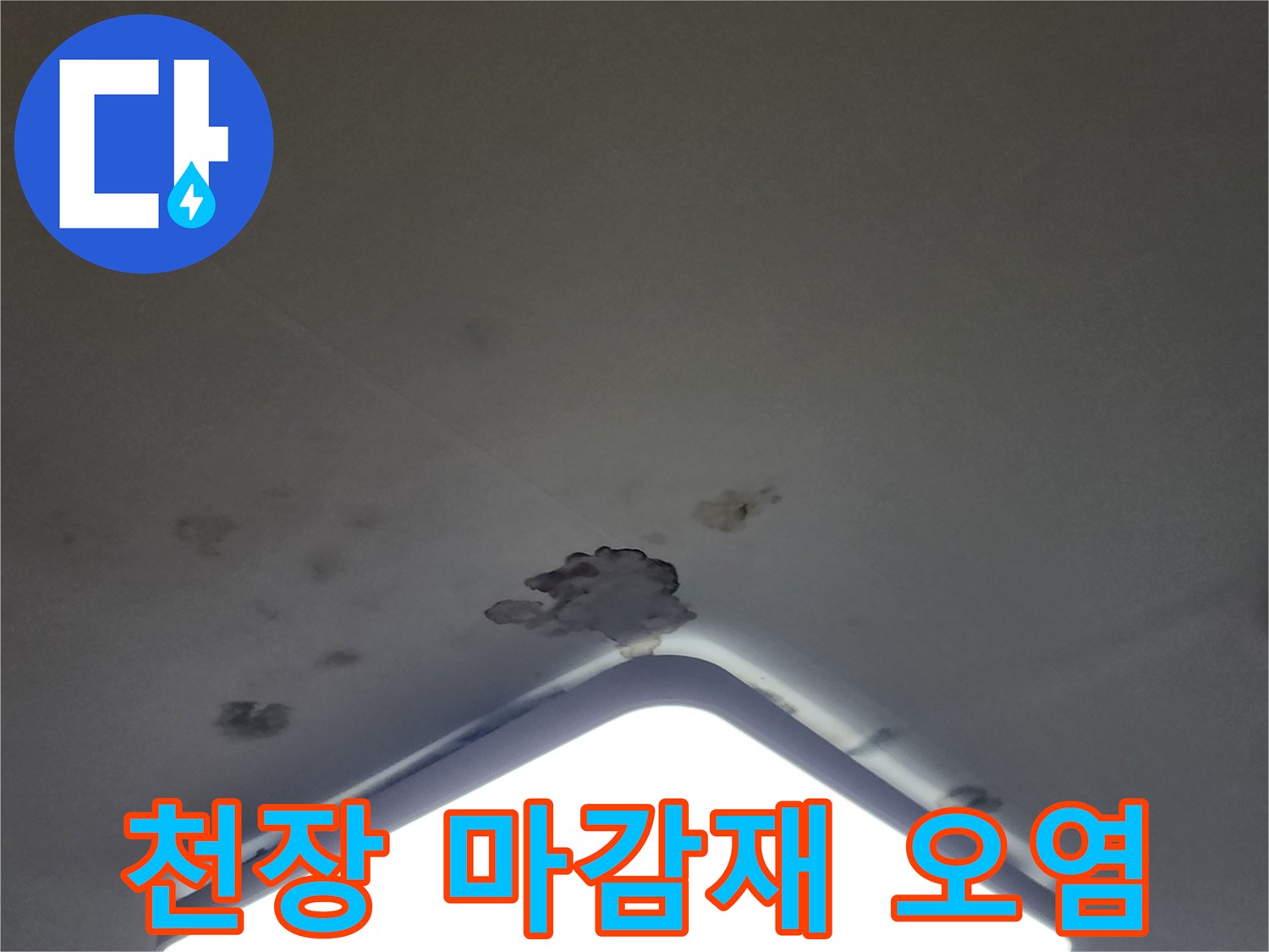 LED 조명 주변 천장 벽지의 곰팡이와 습기에 의한 변색 부위