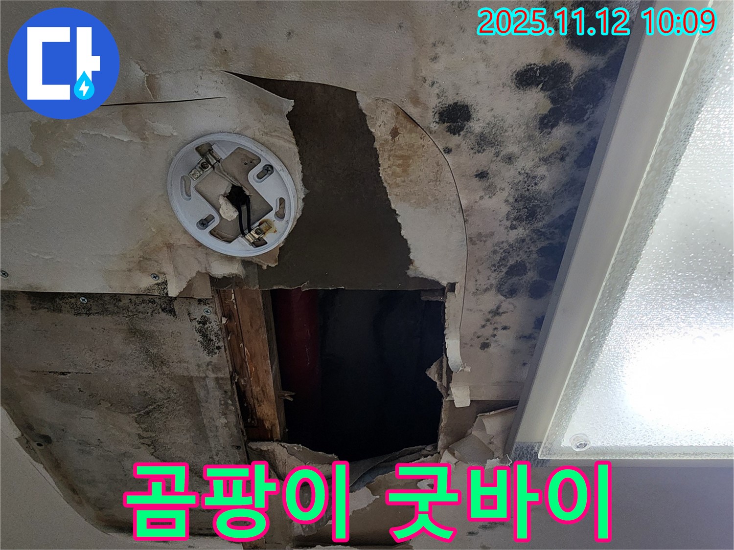 고객 만족 후기 - 곰팡이 천장 누수 완벽 해결 후 고객 감동