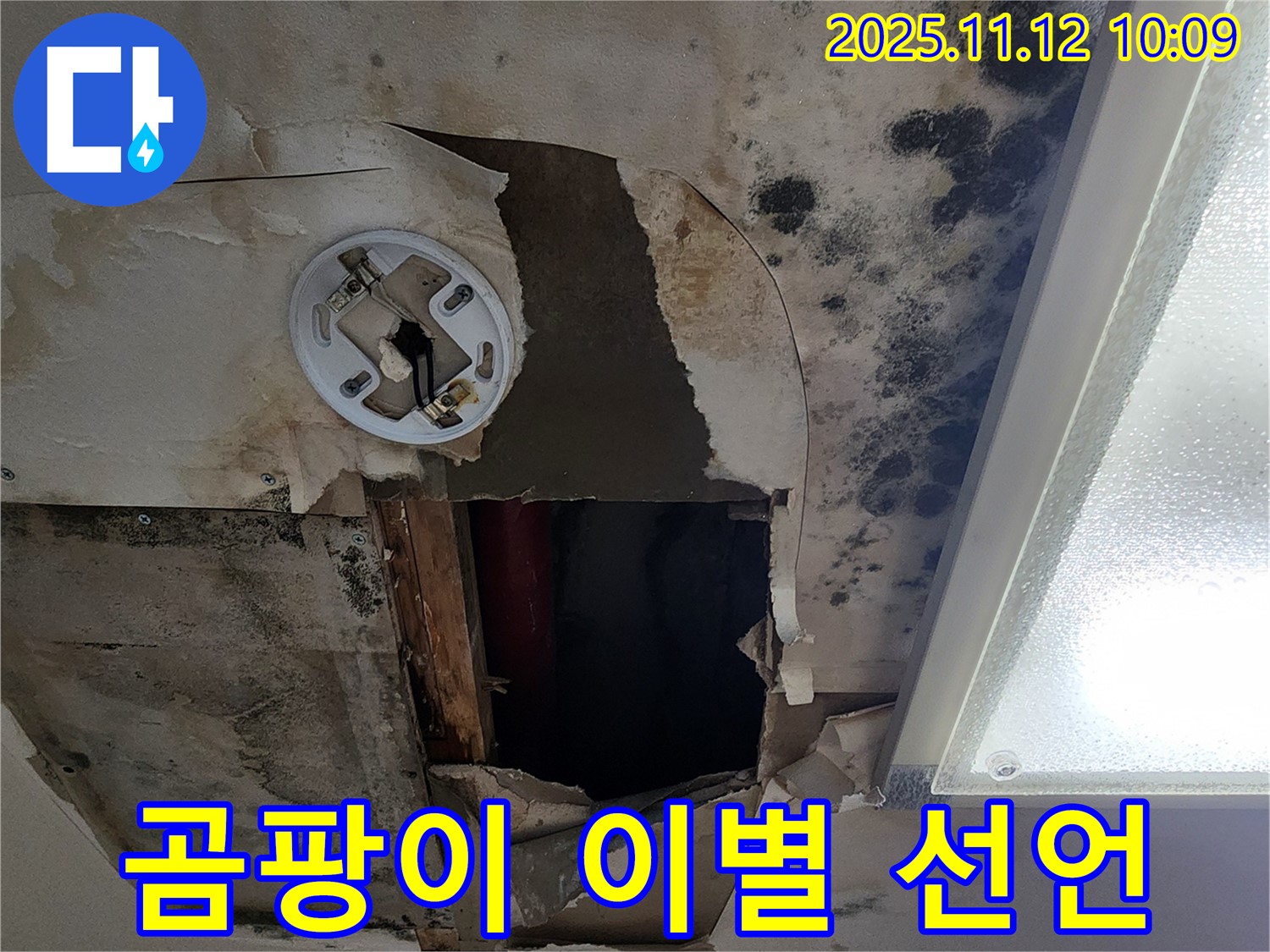 고객 만족 후기 - 곰팡이 천장 누수 완벽 해결 후 고객 감동