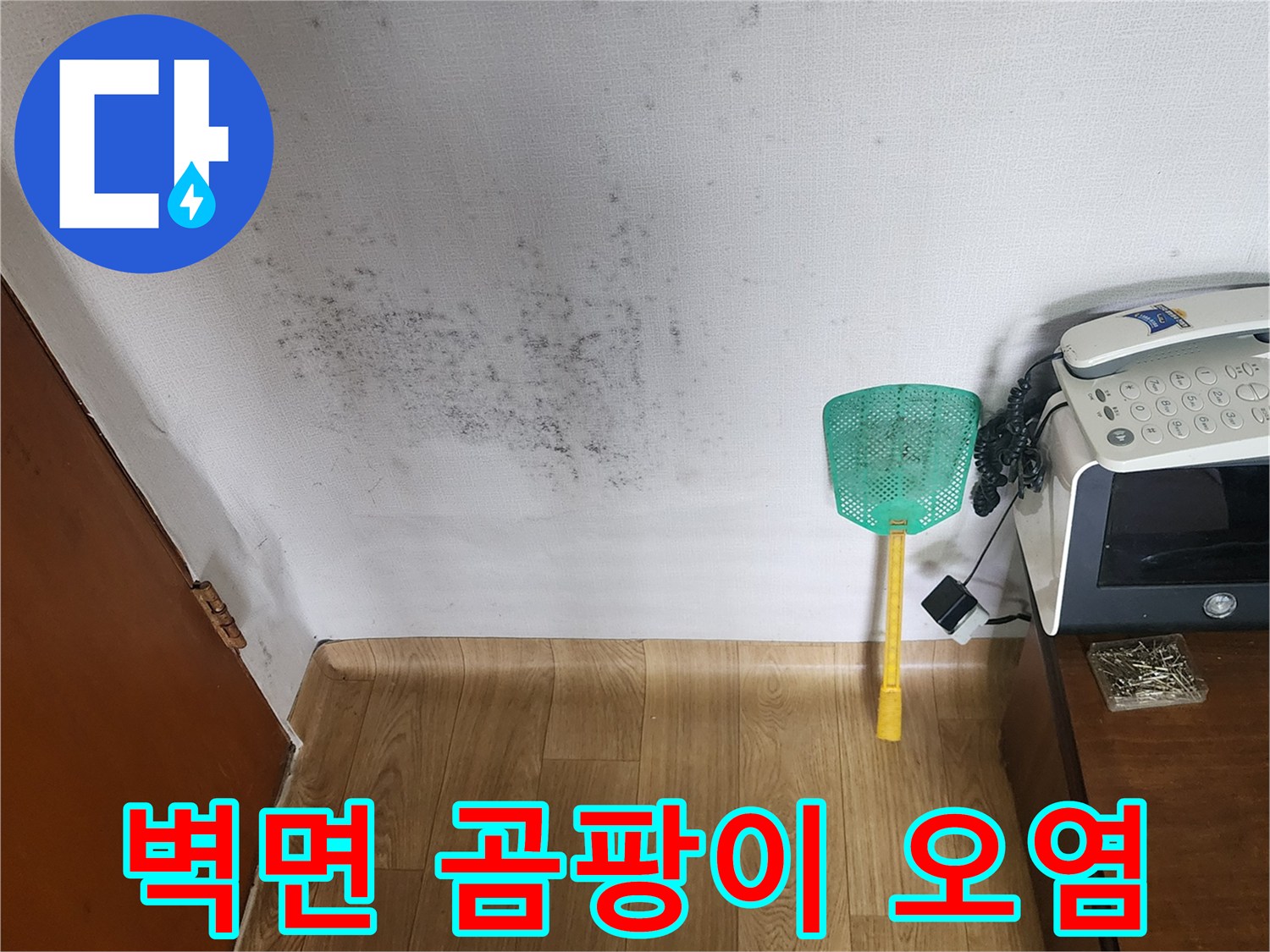 곰팡이가 번져 있는 아파트 내부 벽면 모습