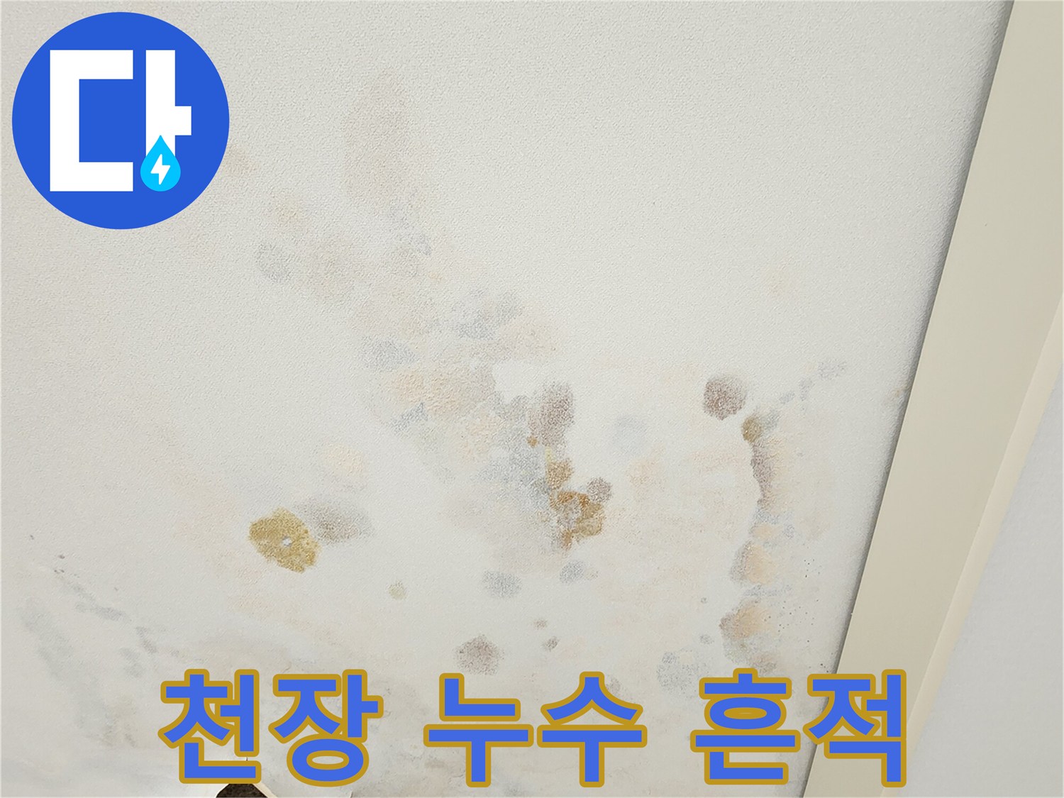 넓게 퍼진 물 얼룩과 곰팡이가 발생한 천장면