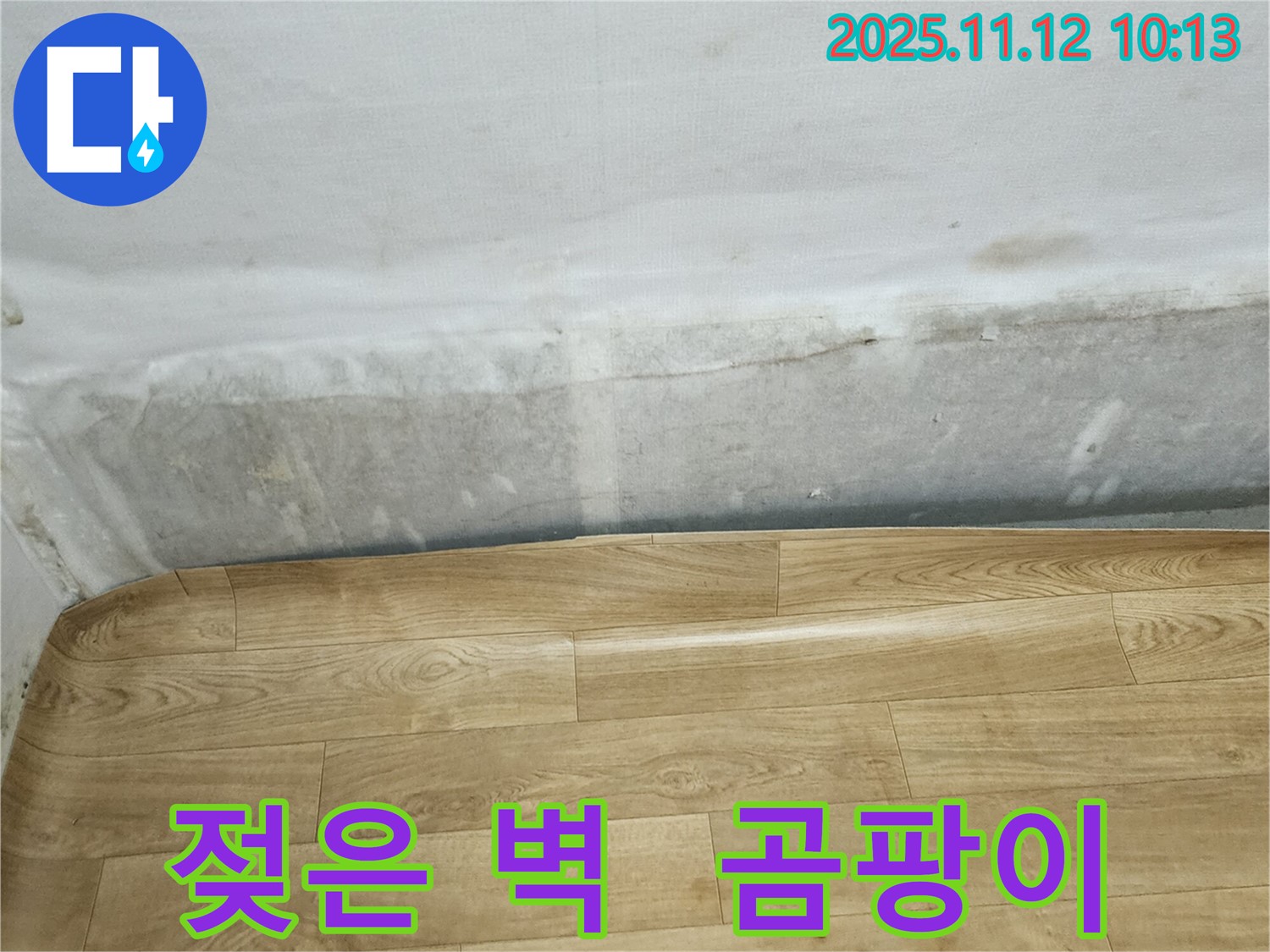 무봉리 누수 현장 - 젖은 벽, 곰팡이, 들뜬 장판은 누수 초기 증상일 수 있습니다.