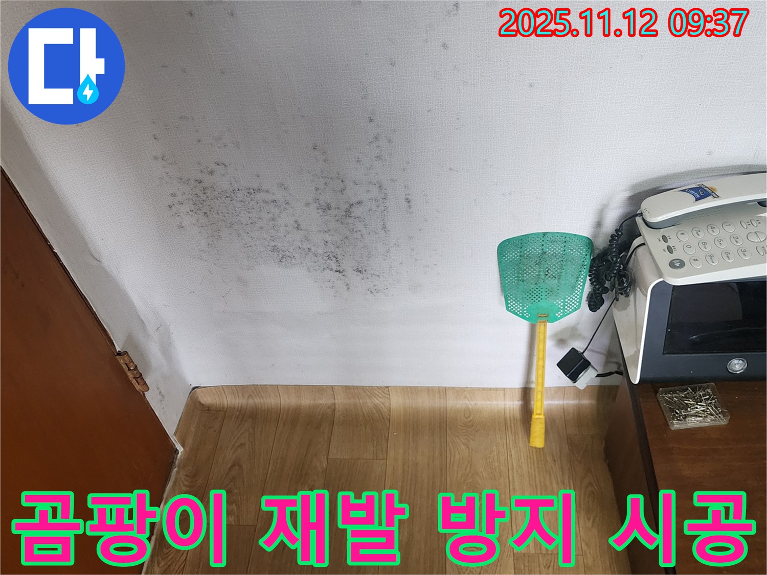 벽 곰팡이 - 누수 원인 해결 후 곰팡이 재발 방지 시공까지 꼼꼼하게 - 포천 누수탐지
