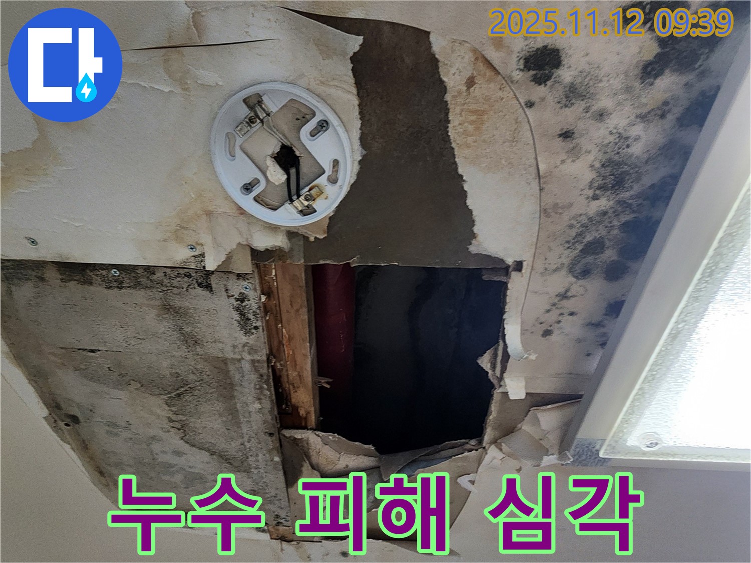 심각한 누수 피해 - 천장 손상, 곰팡이 발생, 전기 설비 위험 등 복합적인 문제 발생 가능성