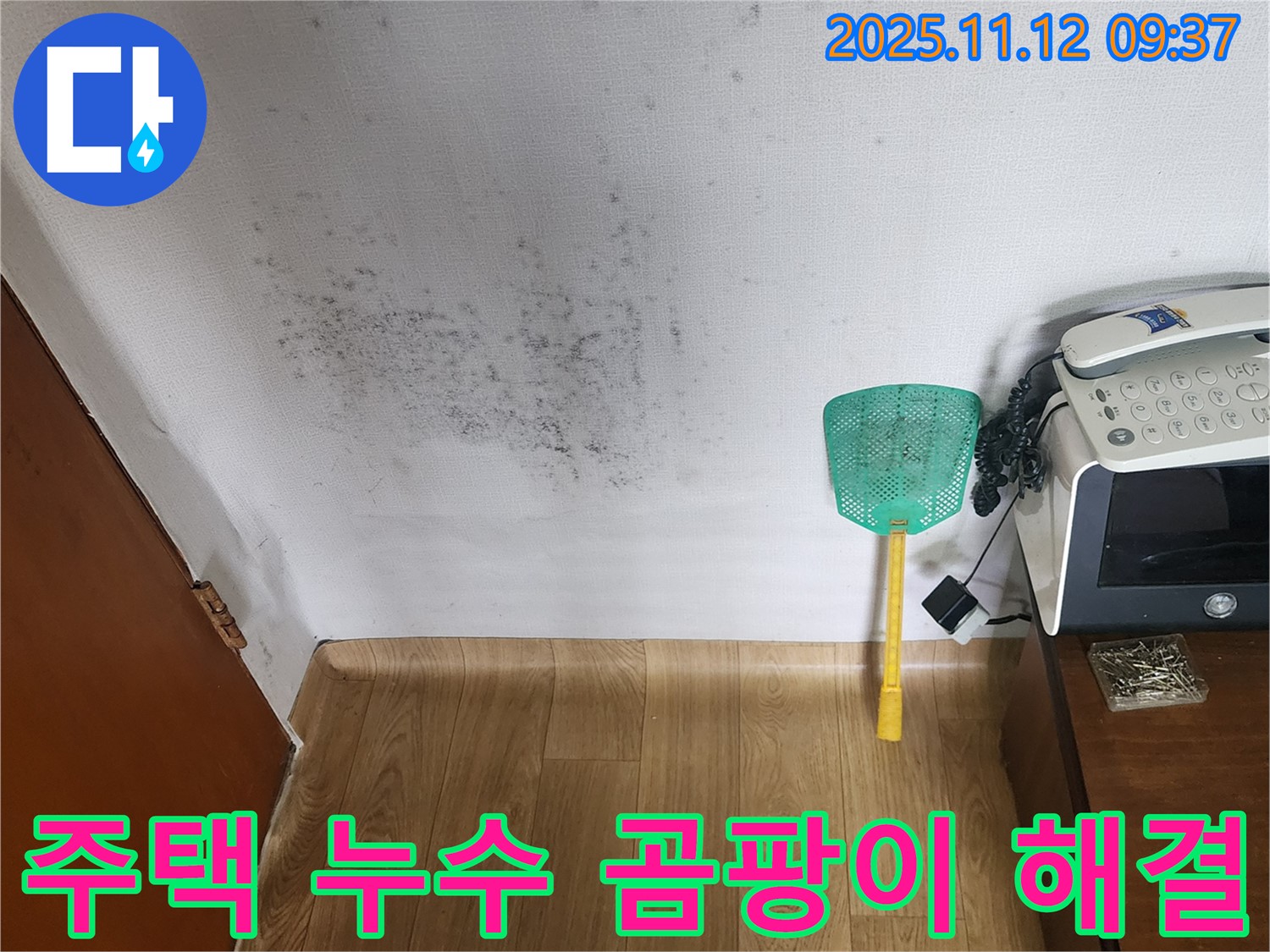 주택 벽에 핀 곰팡이 - 누수탐지를 통해 곰팡이 문제를 해결하고 안심하고 생활하세요.