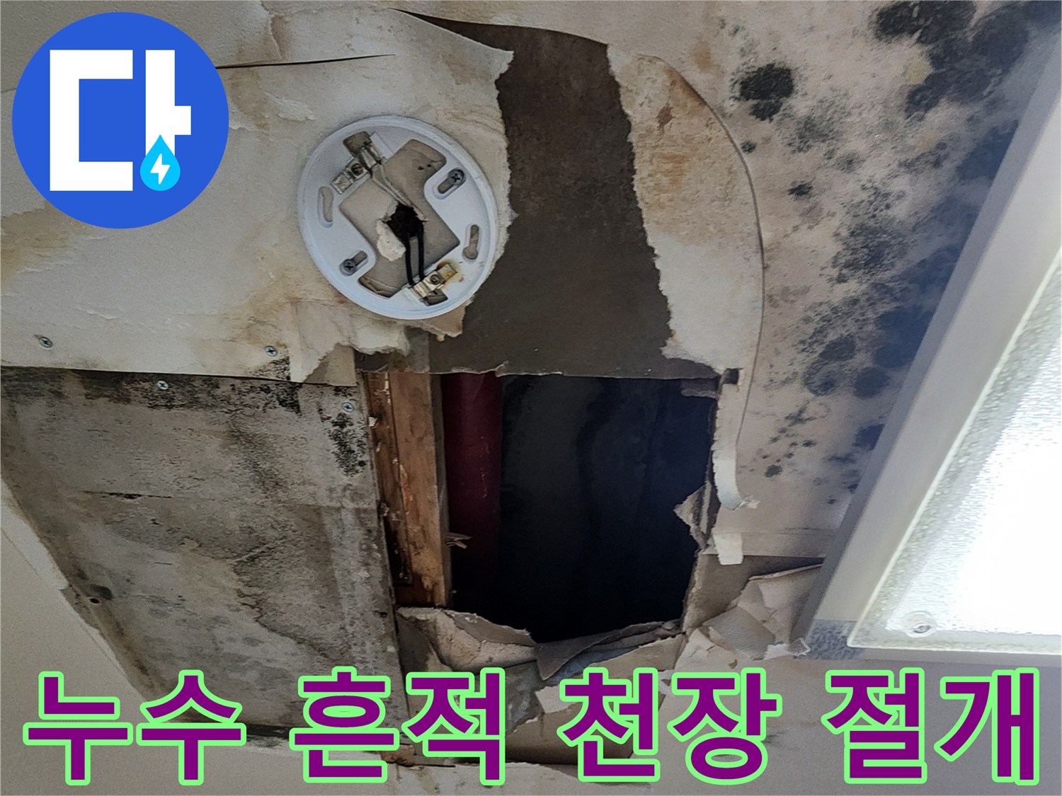 천장 마감재 사이로 보이는 배관과 곰팡이 오염