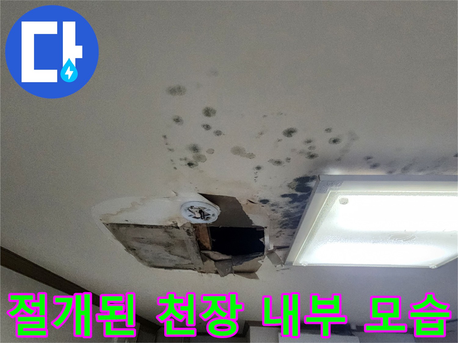 천장 마감재를 절개하여 확인한 내부 배관 주변 상태