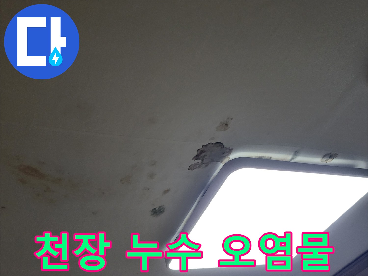 천장 조명 주변에 나타난 갈색 물 얼룩 및 곰팡이