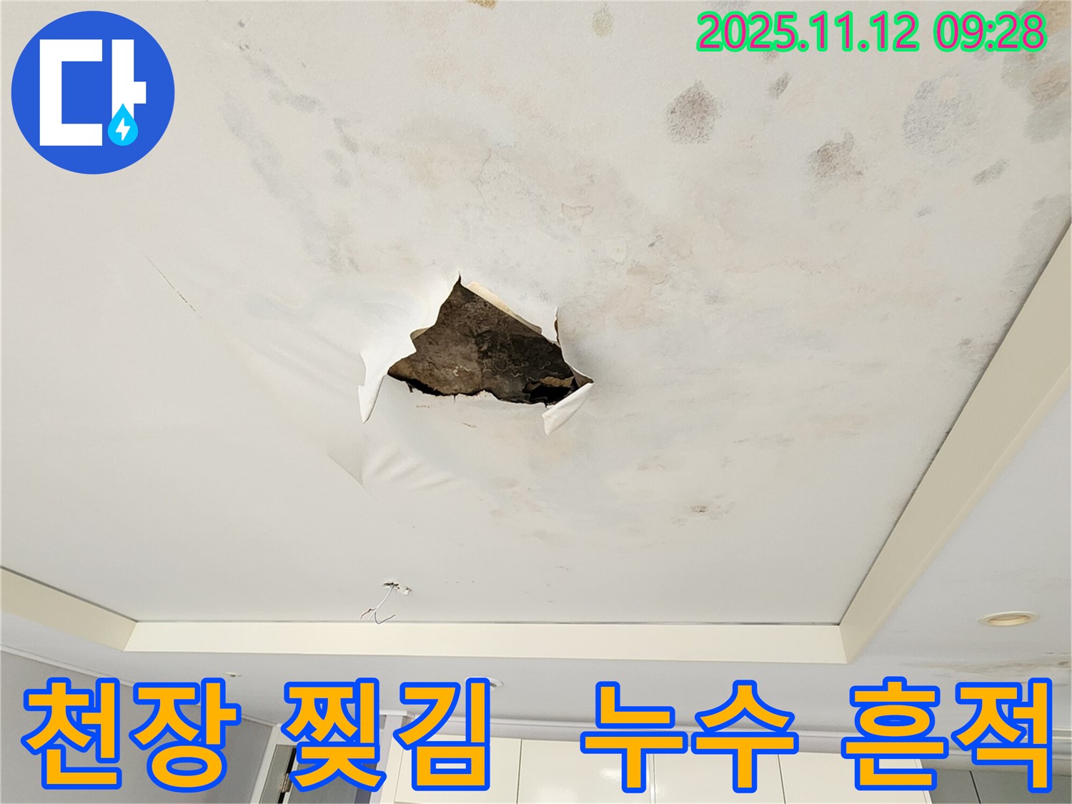 천장 찢김과 누수 흔적 - 천장에서 발생한 누수로 인해 벽지가 찢어지고 물 자국이 선명하게 남아있는 모습입니다.