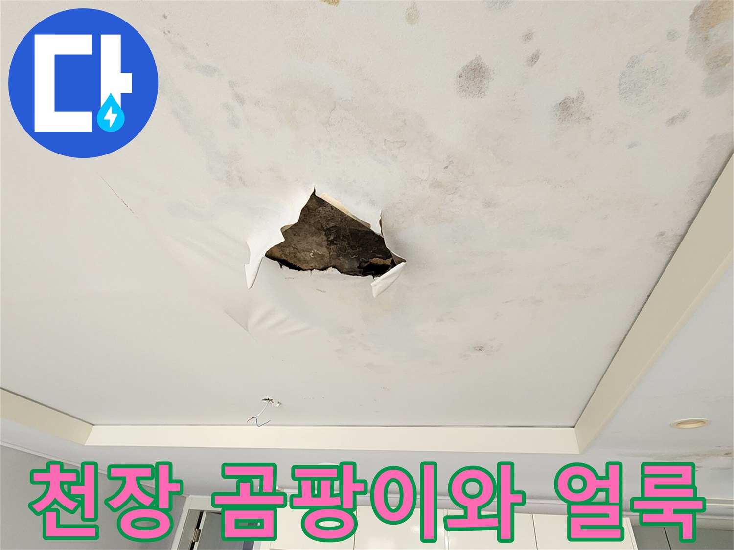 포천 무봉리 현장-천장 마감재의 광범위한 물 얼룩과 절개된 구멍