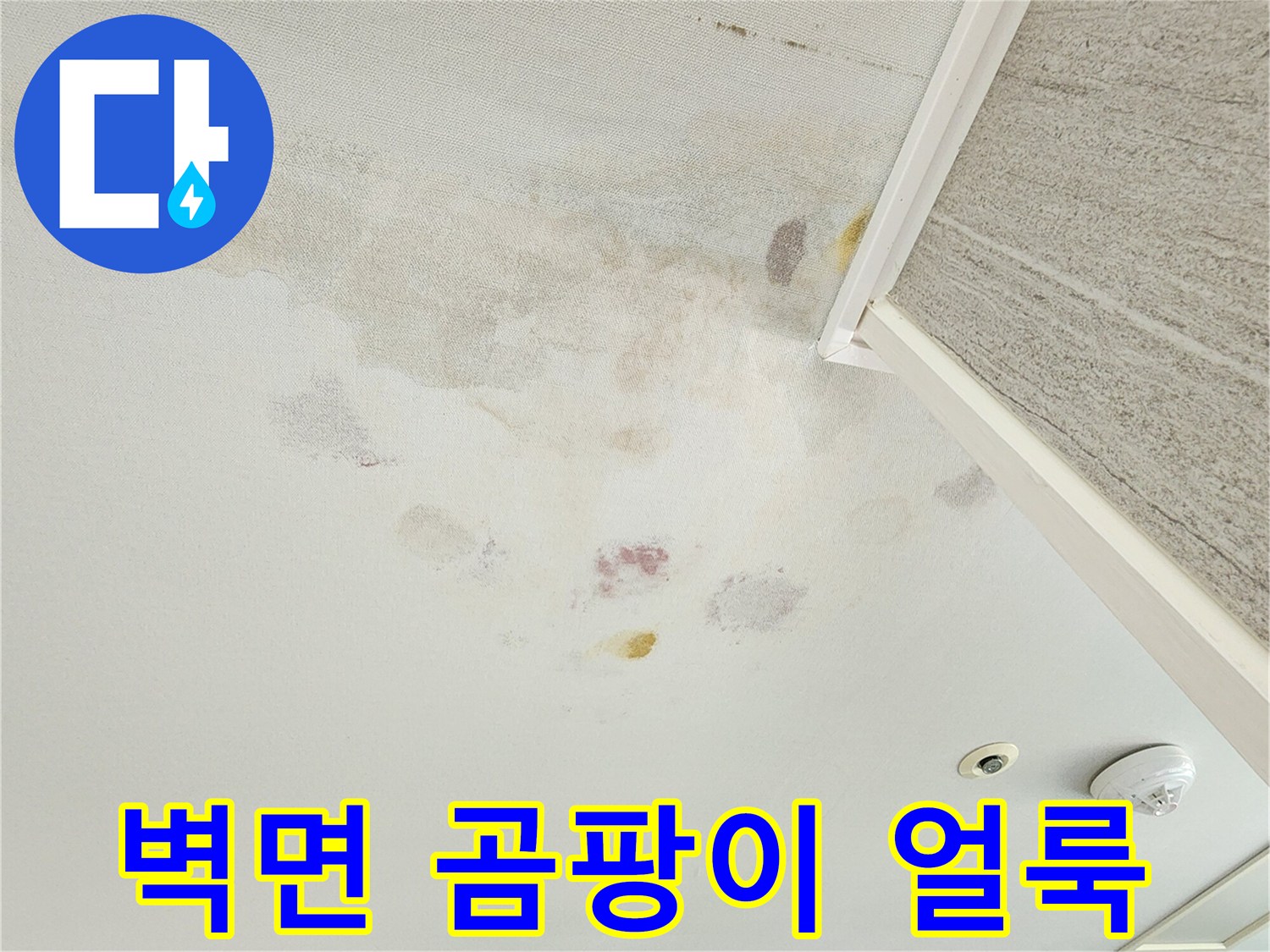 포천 소흘읍 아파트 벽면에 발생한 누수 흔적과 곰팡이 상태