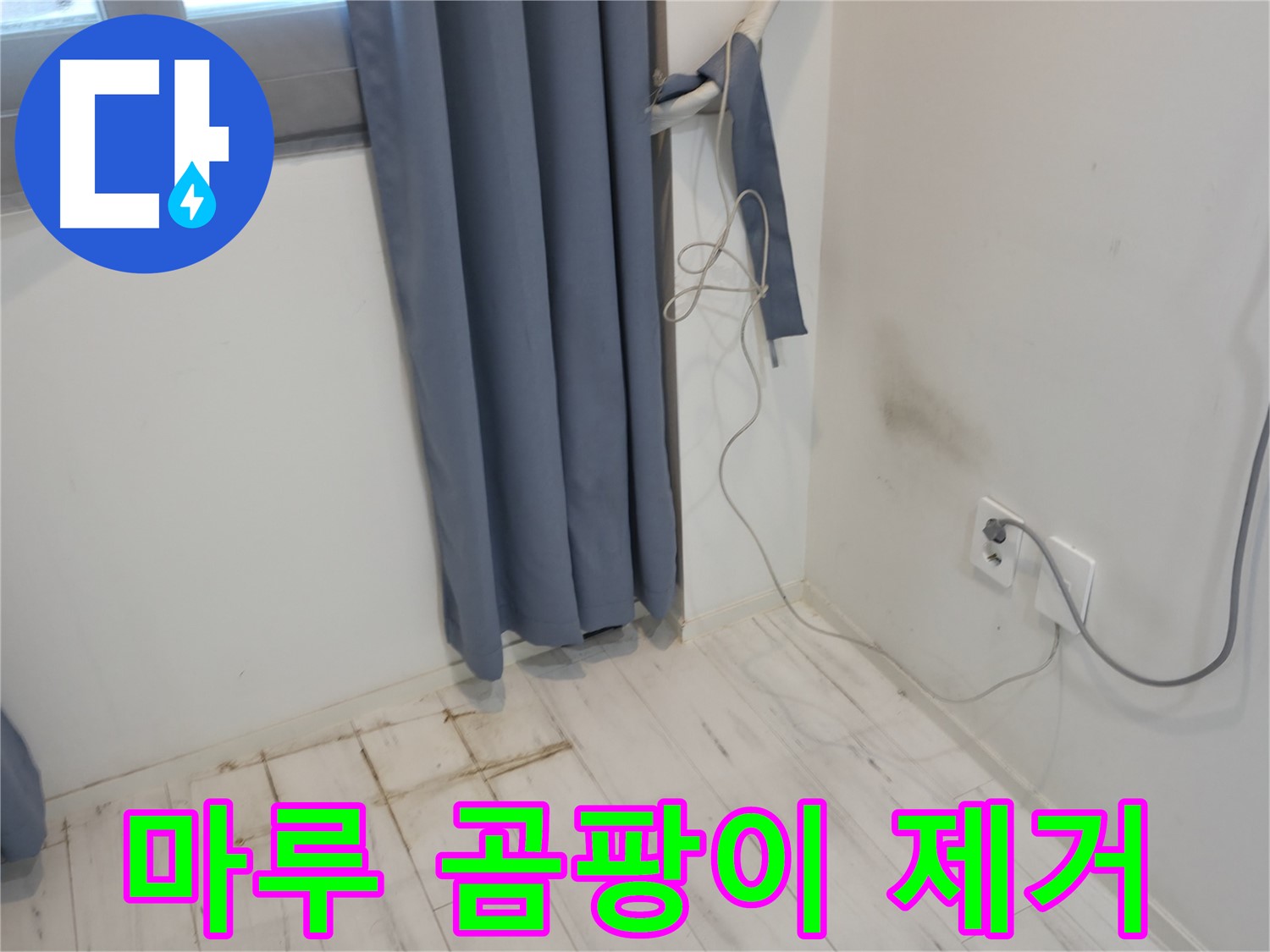 관악구 누수 - 마루 곰팡이 문제 해결 - 누수 공사로 완벽 해결