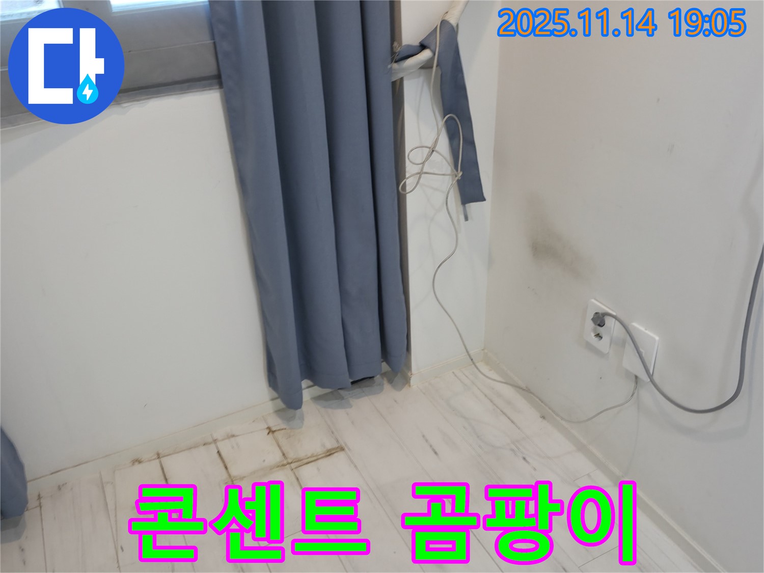 관악구 신림동 누수 - 벽 콘센트 주변 곰팡이 - 전기 안전 최우선 점검