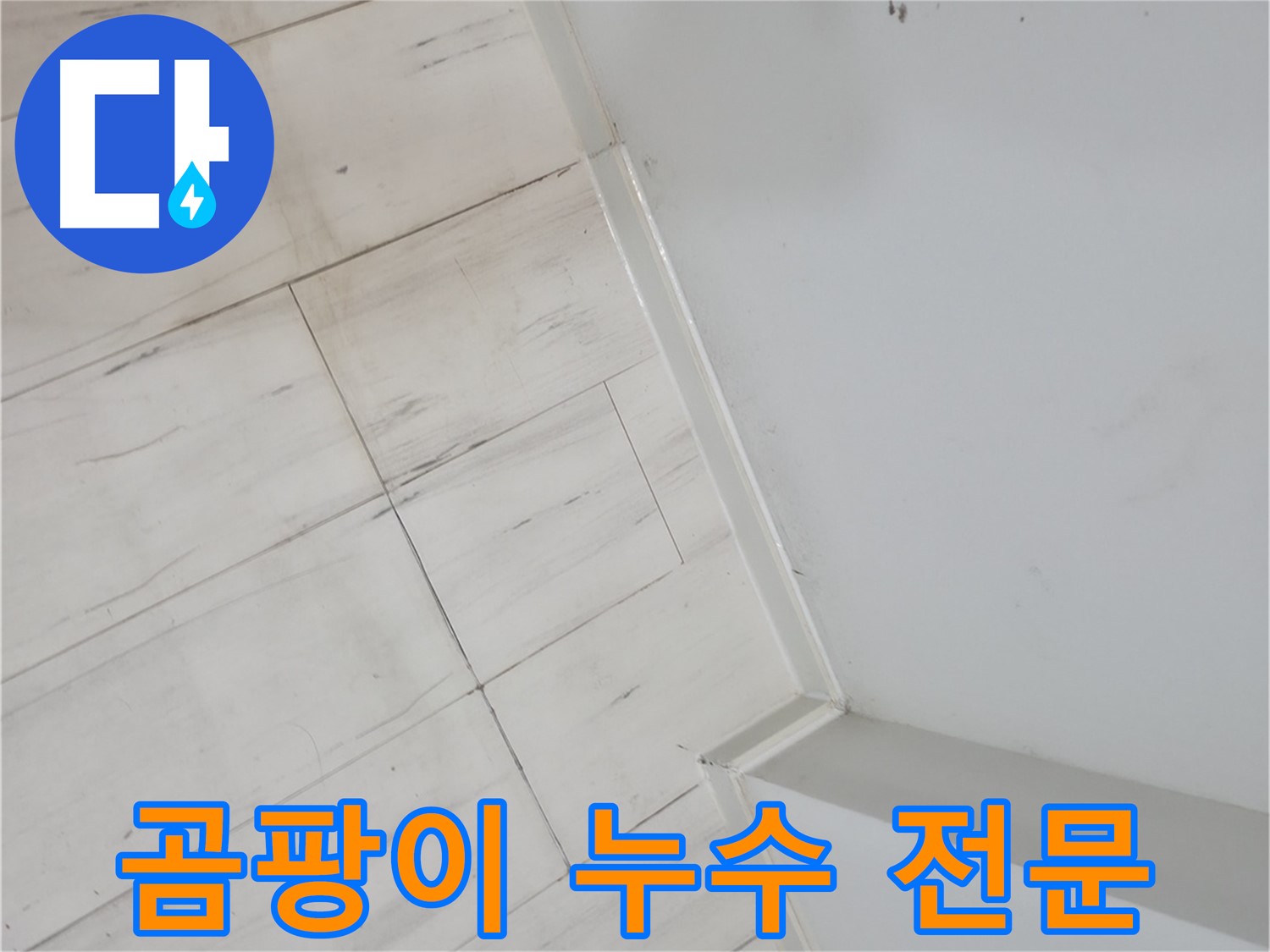 관악구 장판 밑 곰팡이 누수 전문가 시공