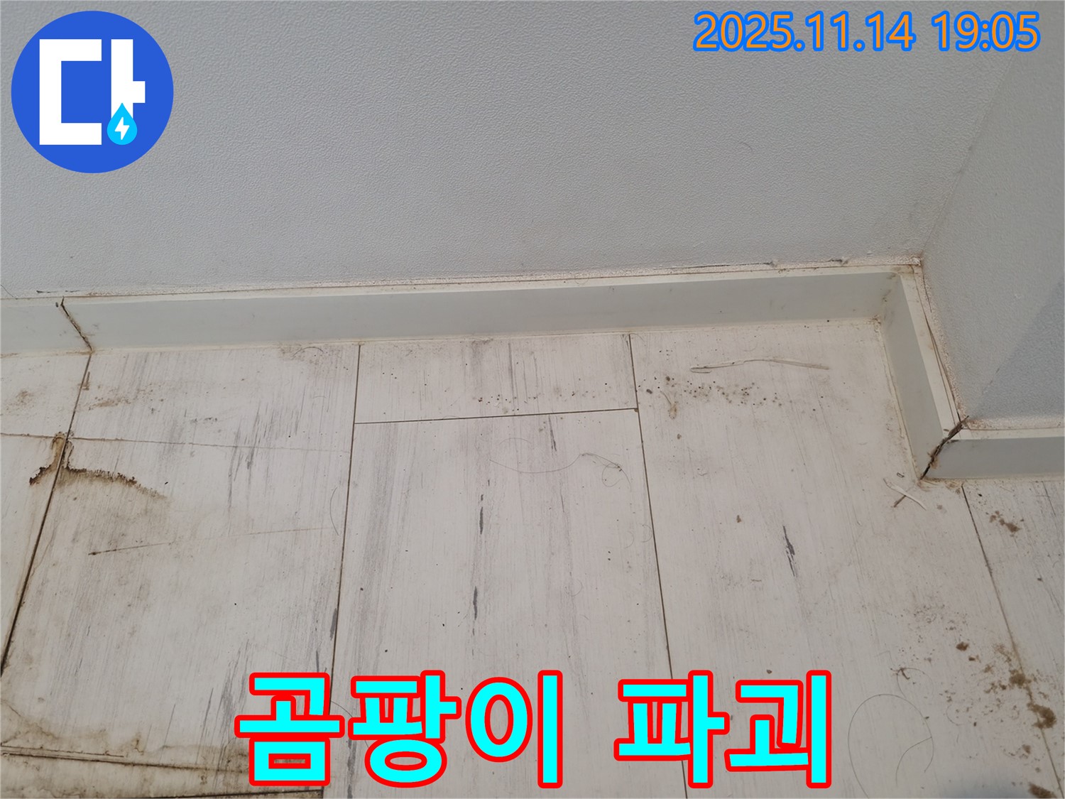 신림 누수 - 곰팡이 핀 장판, 건강 파괴자 등장!