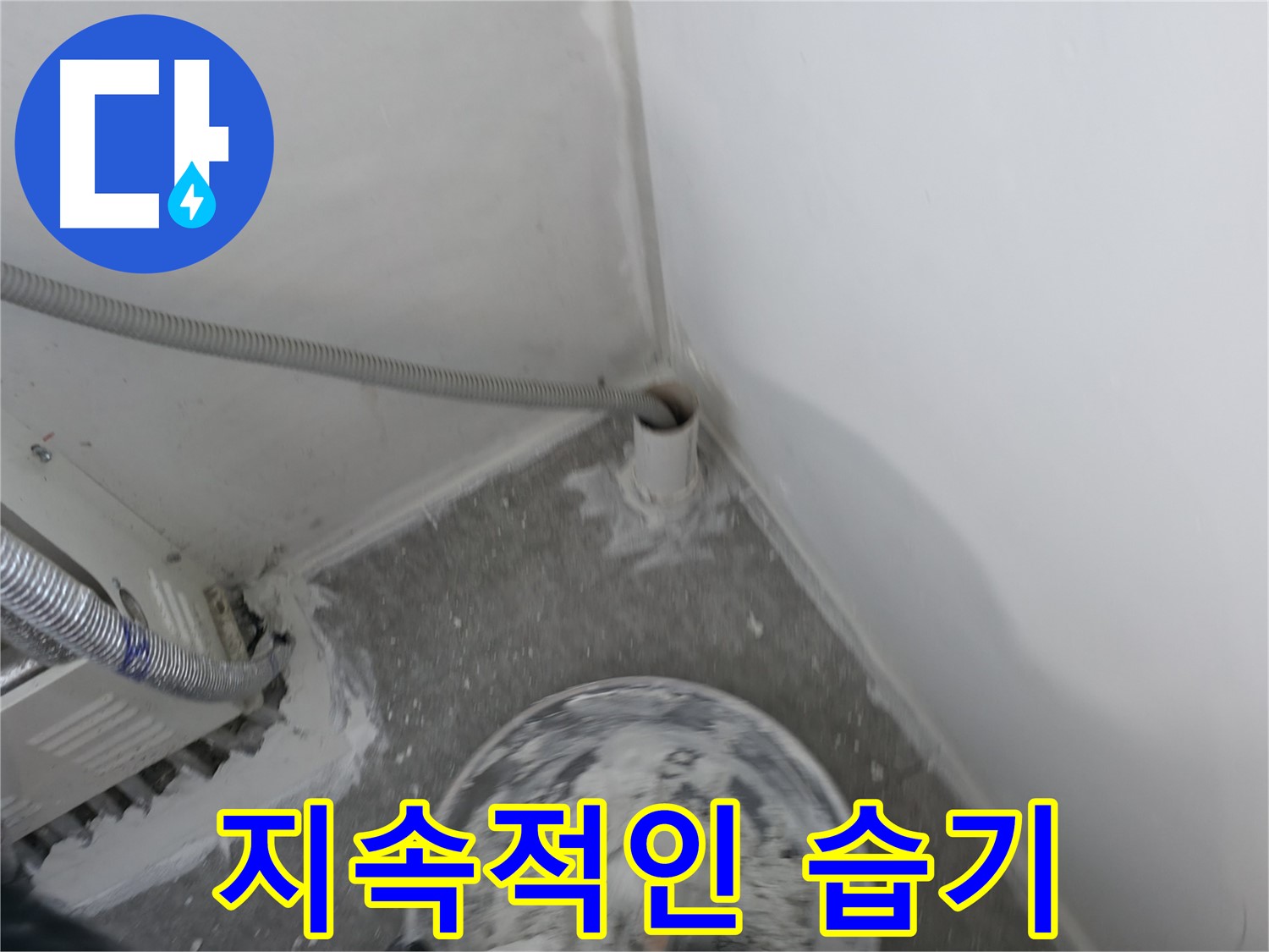 신림 하이츠빌라 - PVC 배관 주변 습기 - 지속적인 누수 의심