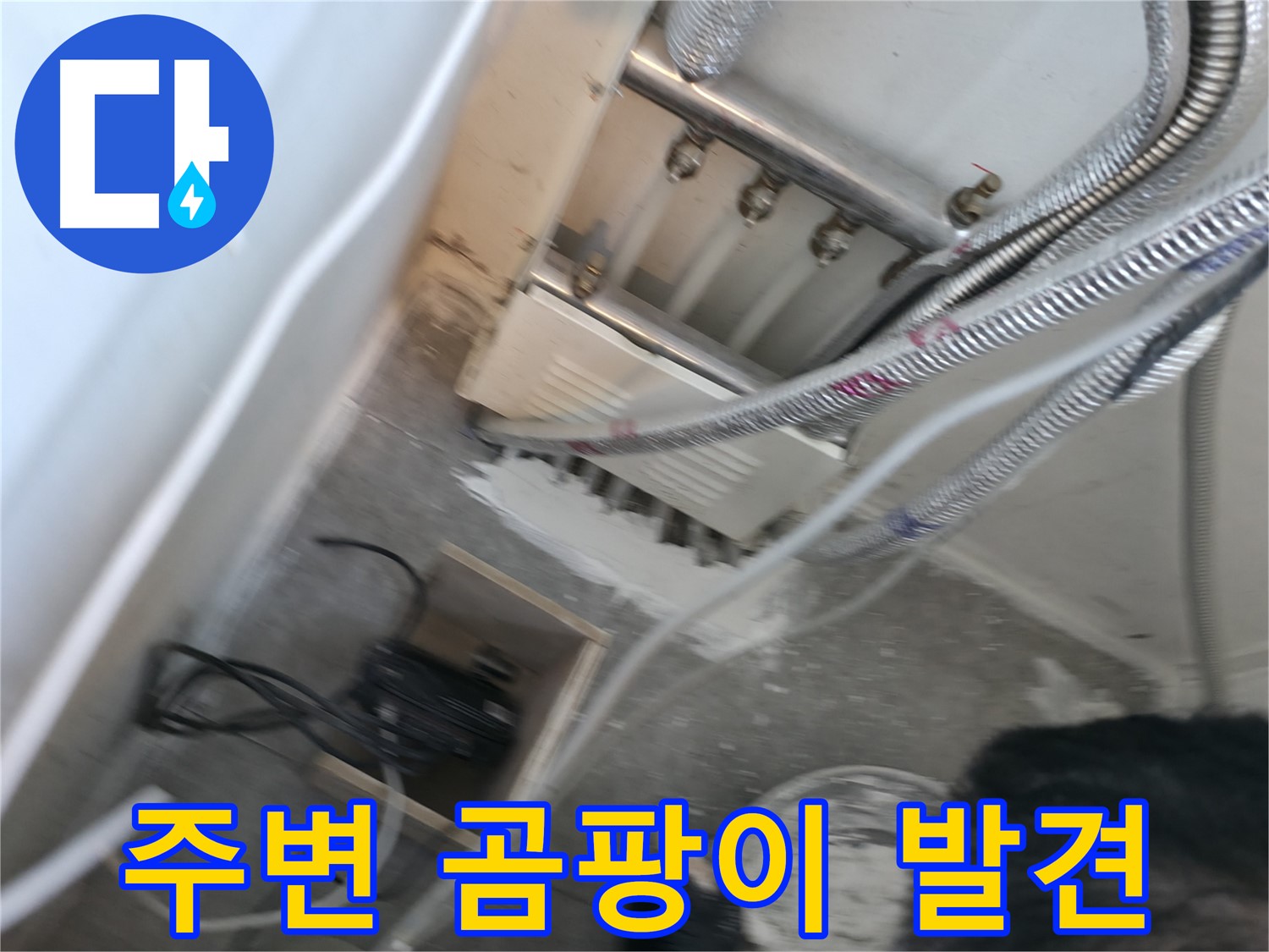 신림 하이츠빌라 분배기 - 주변 곰팡이, 누수 의심