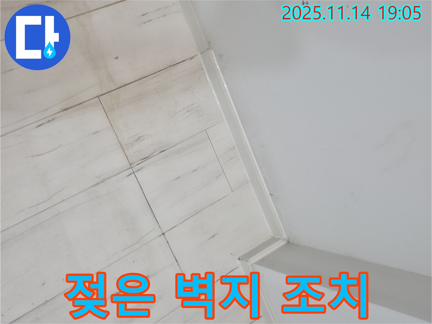 신림동 누수 - 젖은 벽지, 곰팡이 번식 전에 긴급 조치하세요!