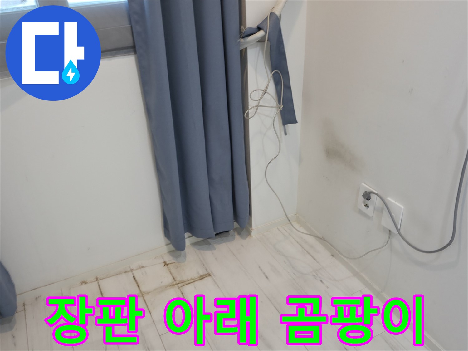 신림동 누수 - 젖은 장판 아래 곰팡이 발생 - 꼼꼼한 누수 점검 필요