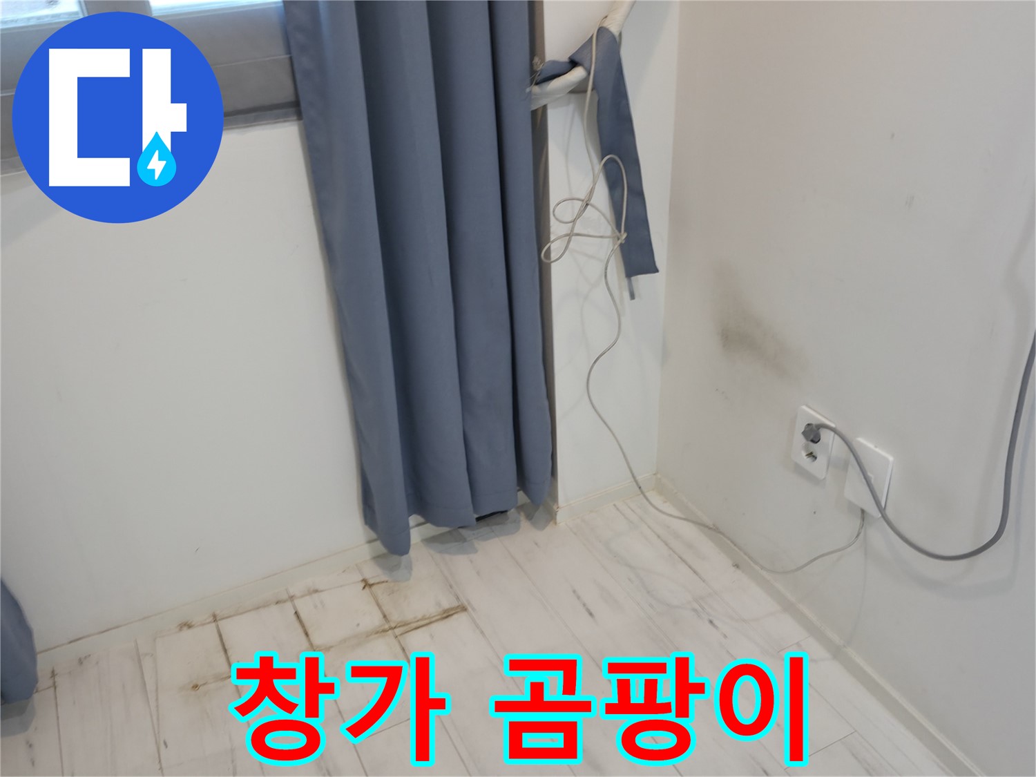 신림동 누수 - 창가 곰팡이 발생 - 꼼꼼한 누수 점검 필요