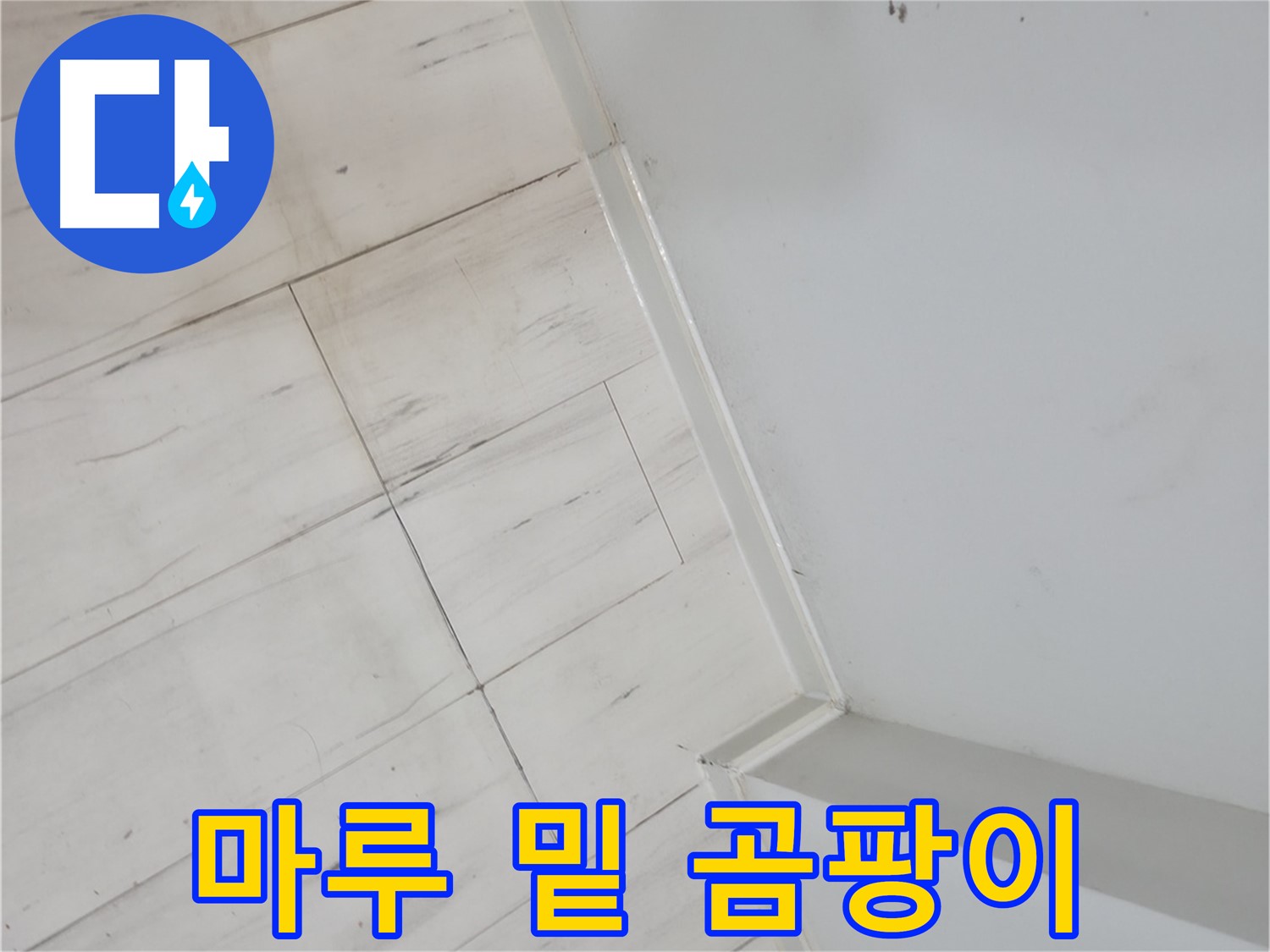 신림동 빌라 마루 밑 곰팡이 누수 해결 작업