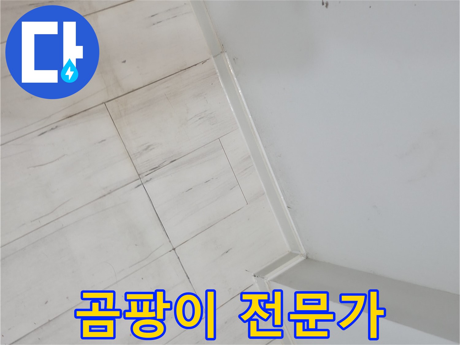 신림동 벽 곰팡이 누수 - 오랜 경험과 노하우의 전문가