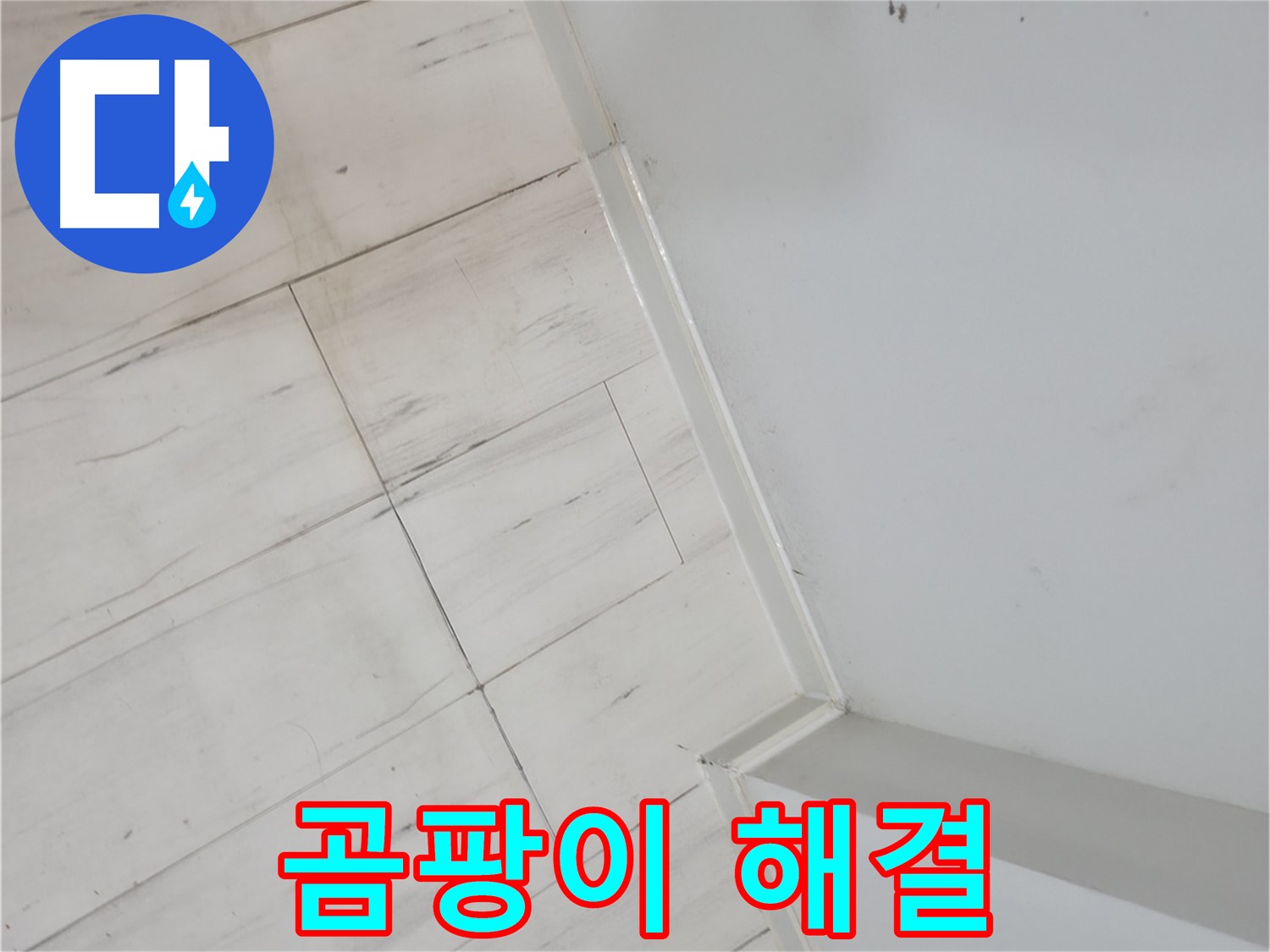 신림동 빌라 마루 곰팡이 누수 고민 해결