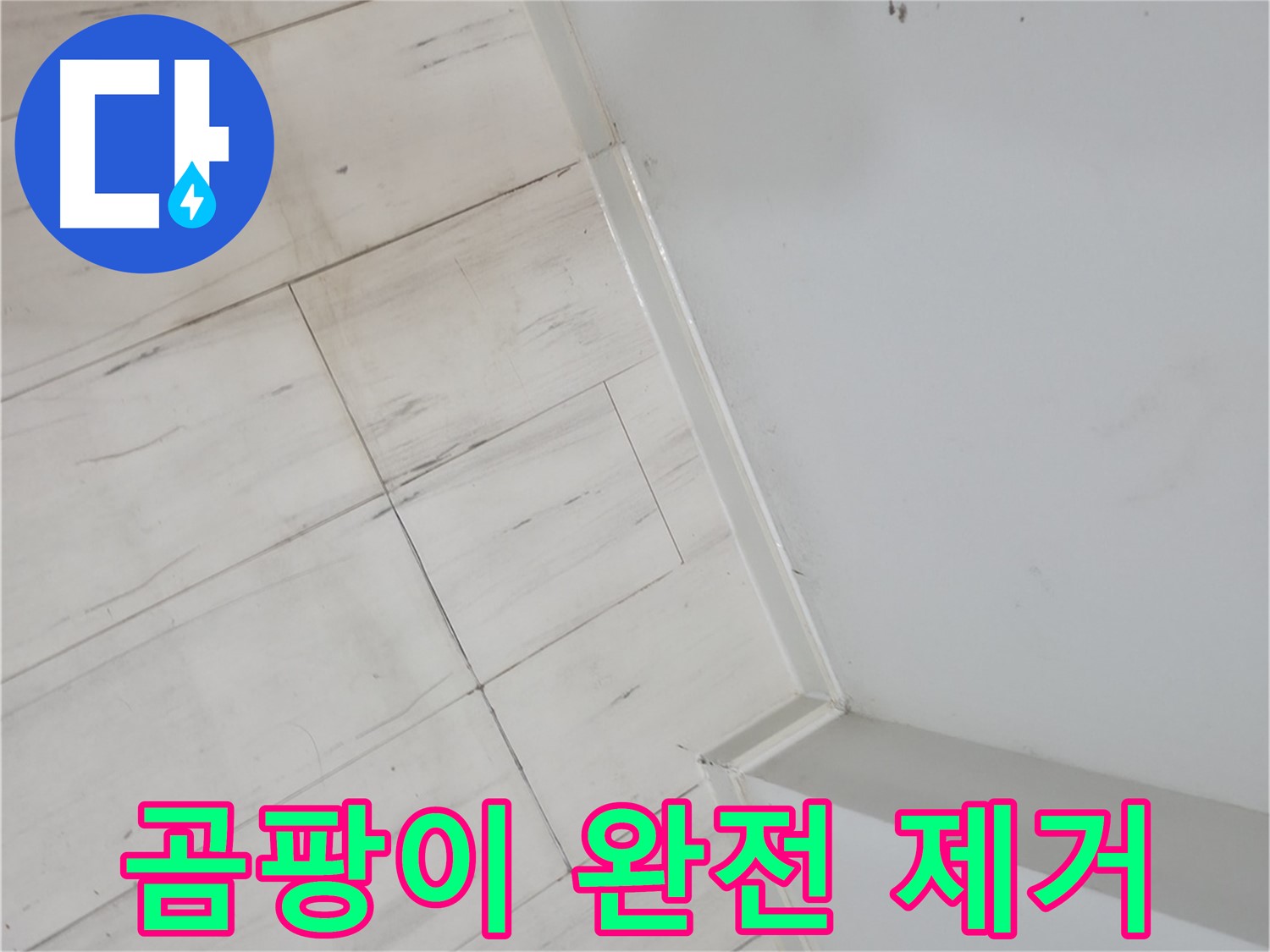 신림동 빌라 벽 하단 곰팡이 누수 해결 작업