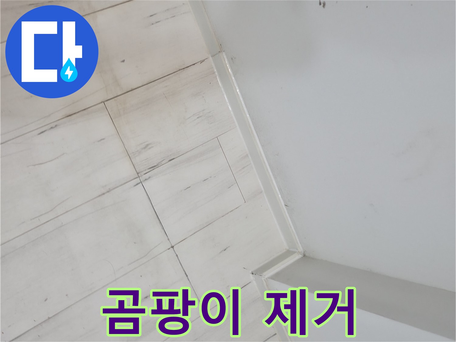 신림동 빌라 장판 틈새 곰팡이 누수 해결