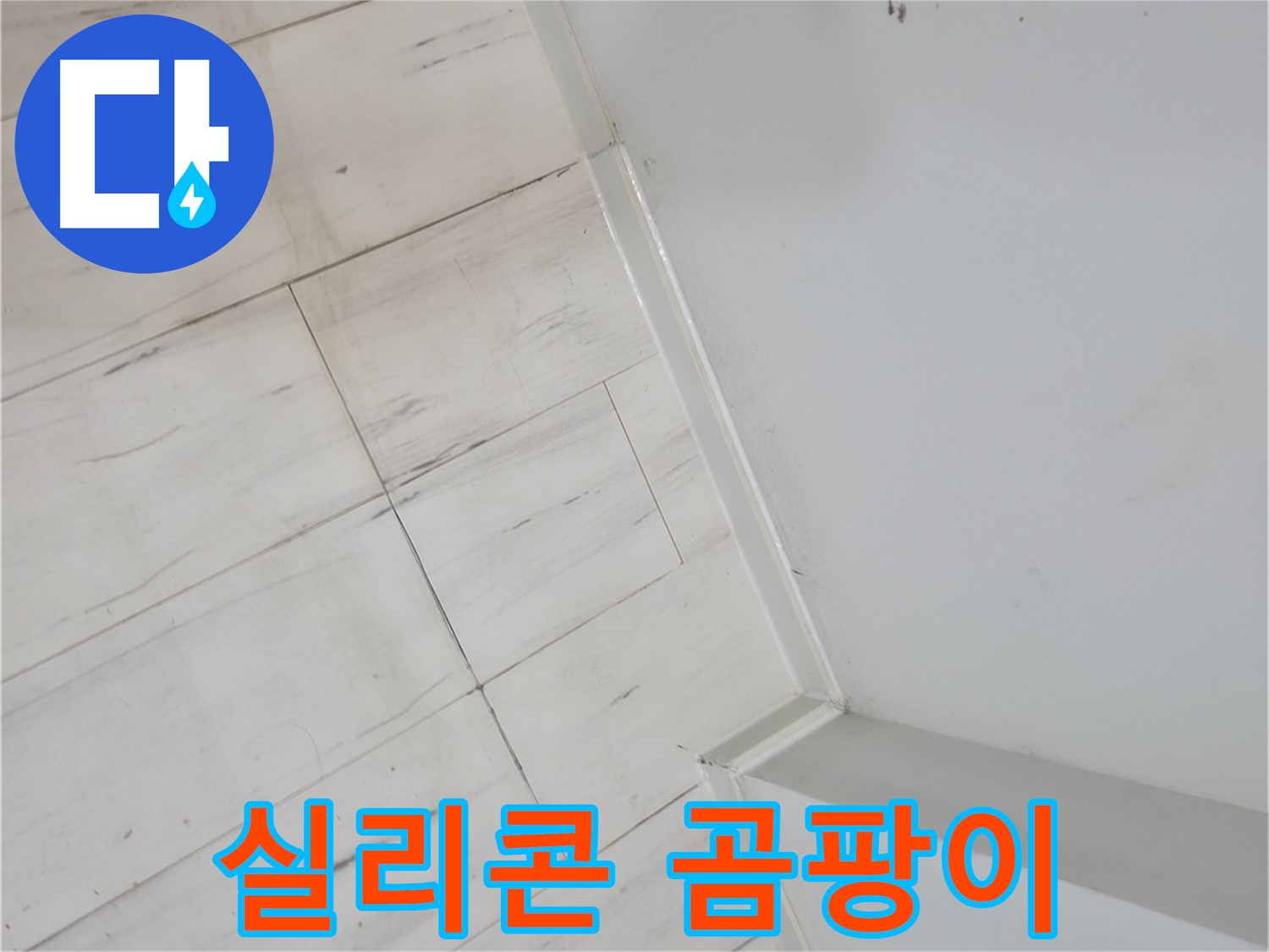 신림동 실리콘 곰팡이 - 누수 신호
