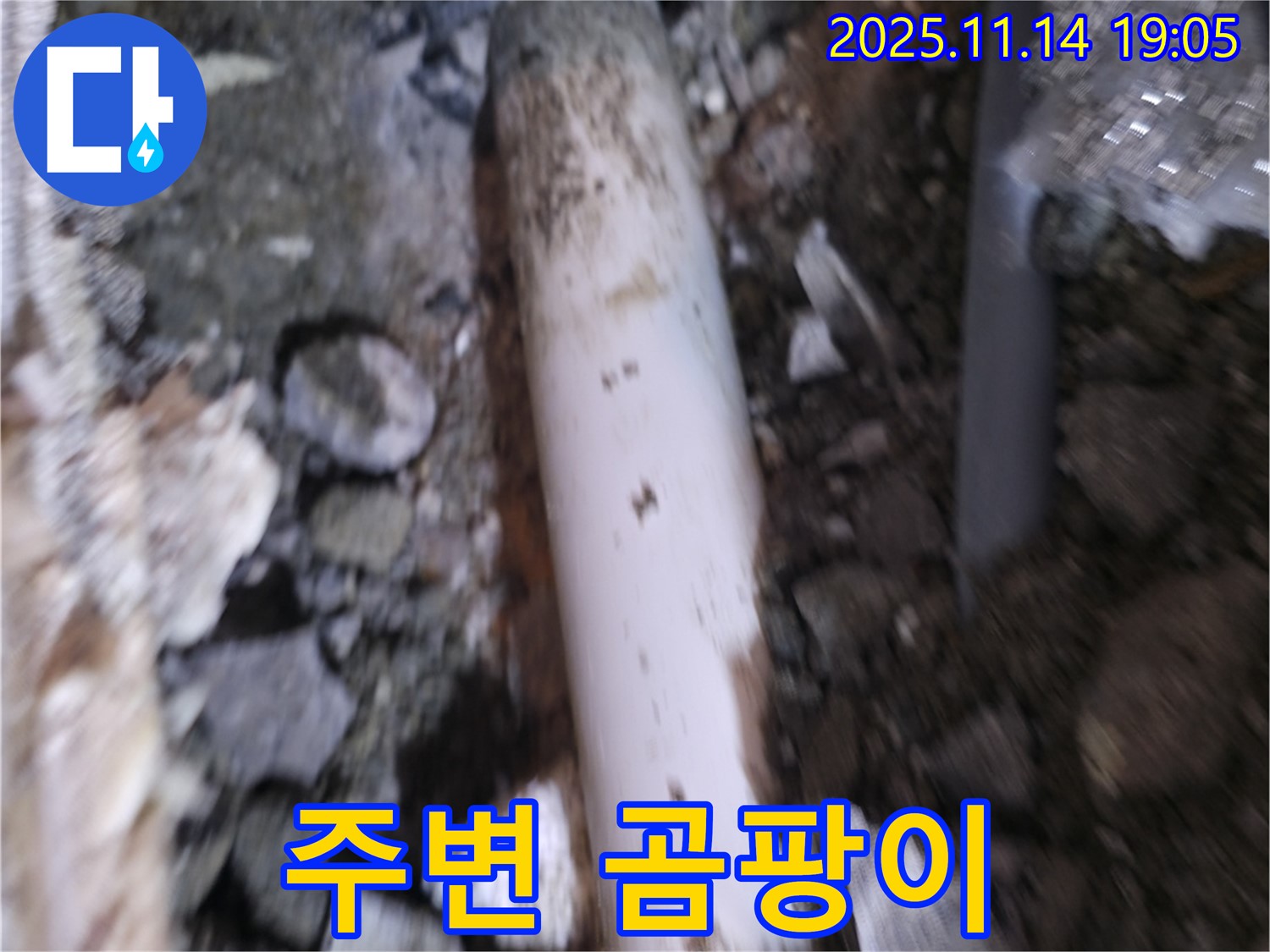 신림하이츠빌라 누수 - 흙 속에 묻힌 배관 주변에 곰팡이가 있는지 확인하여 누수 여부 판단