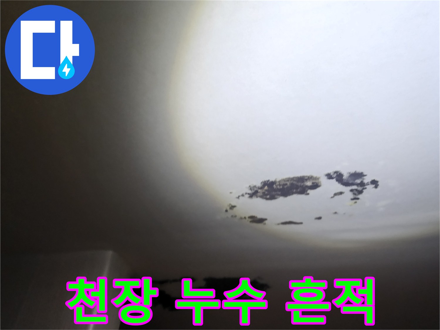 검게 변색된 천장 벽지와 넓게 퍼진 곰팡이 부위