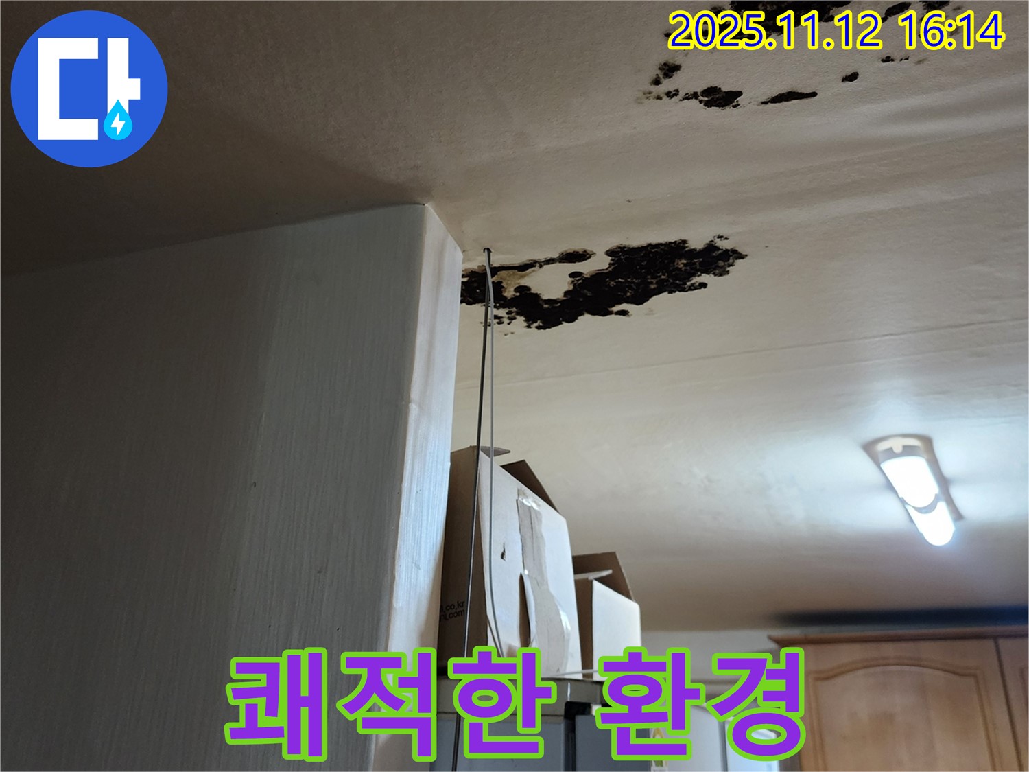 구읍리 누수 - 천장 곰팡이 제거 후 쾌적한 실내 환경
