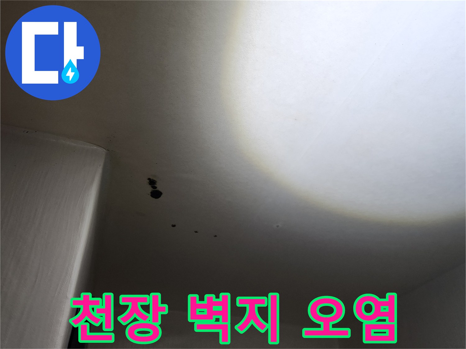 물샘 현상으로 인해 변색되고 곰팡이가 생긴 천장 벽지