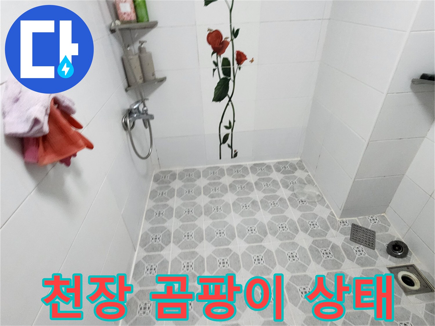 욕실 타일 벽면-곰팡이가 발생한 천장 부위