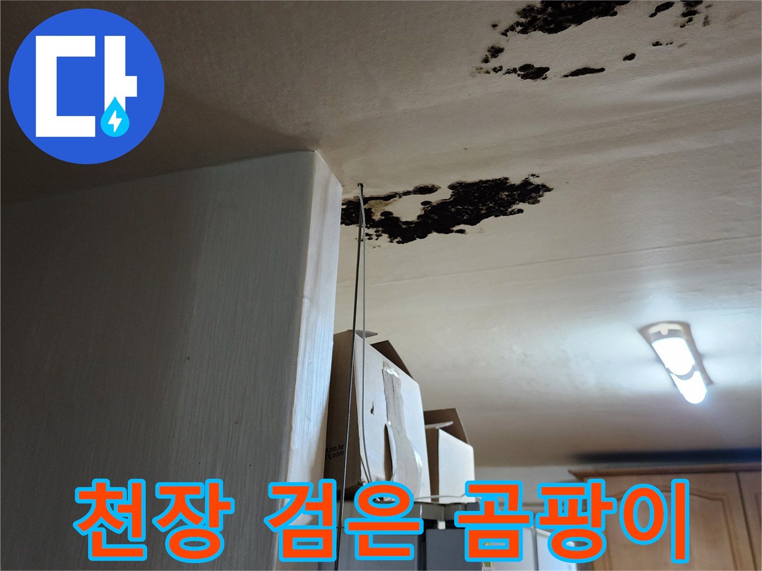 주방 천장 마감재에 발생한 검은색 곰팡이와 습기 얼룩