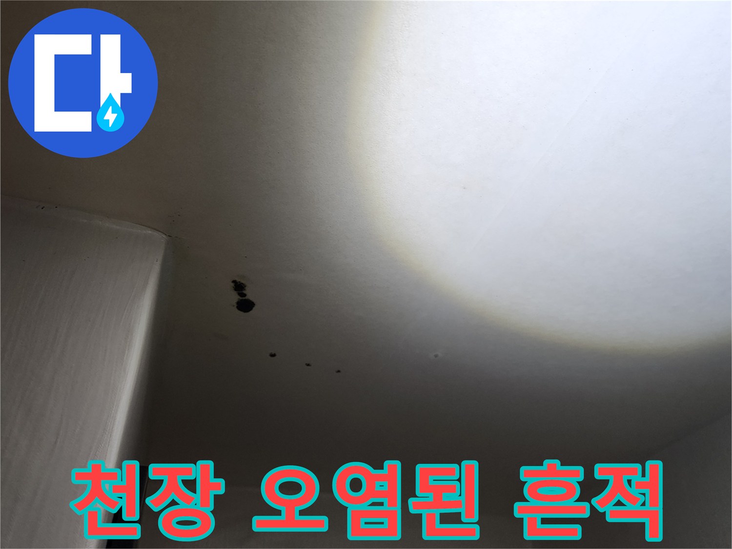 포천 구읍리 주거 공간-벽면과 천장에 번진 누수 오염 부위