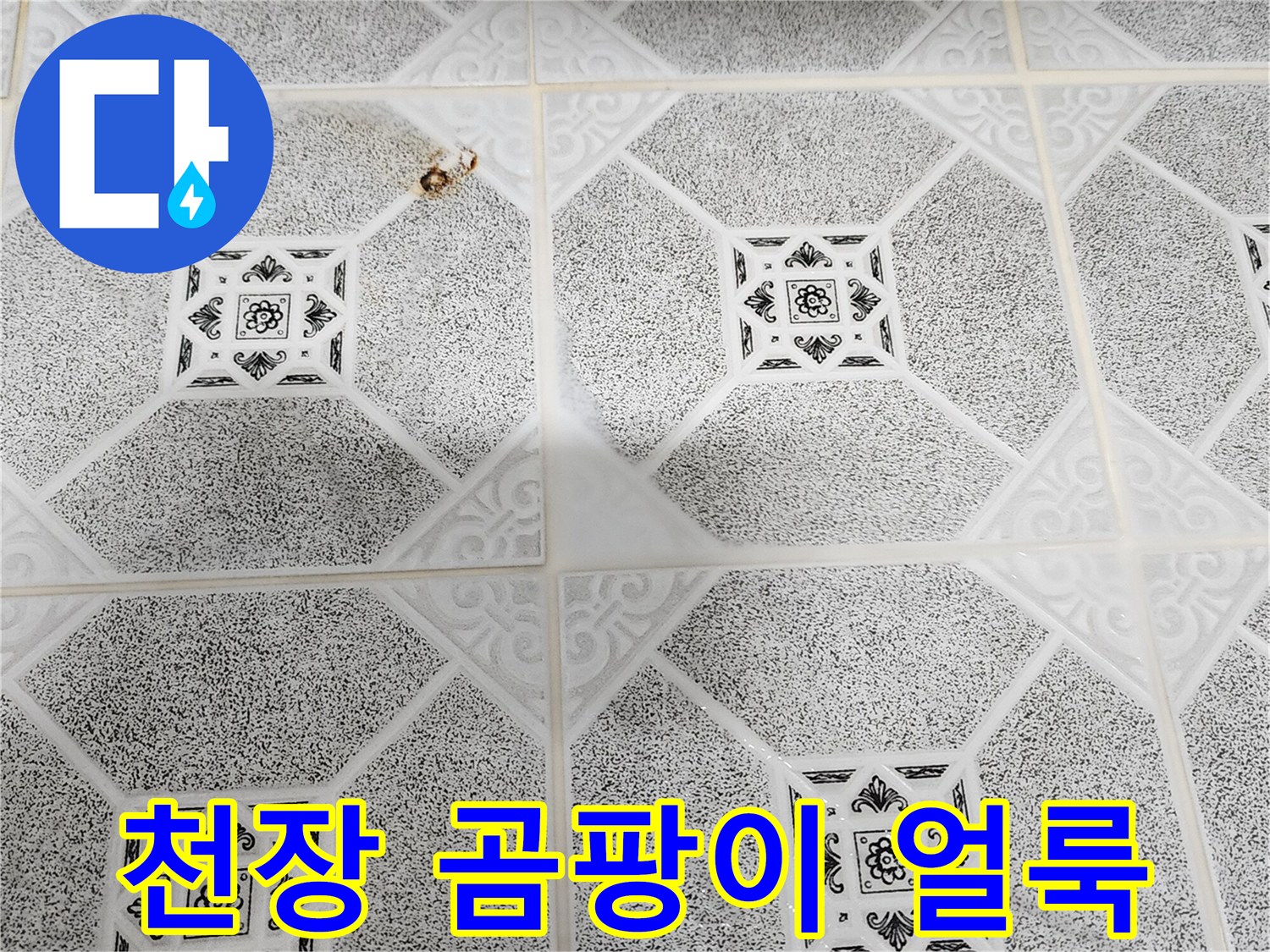 포천 군내면 천장재에 발생한 검은 곰팡이와 습기 흔적