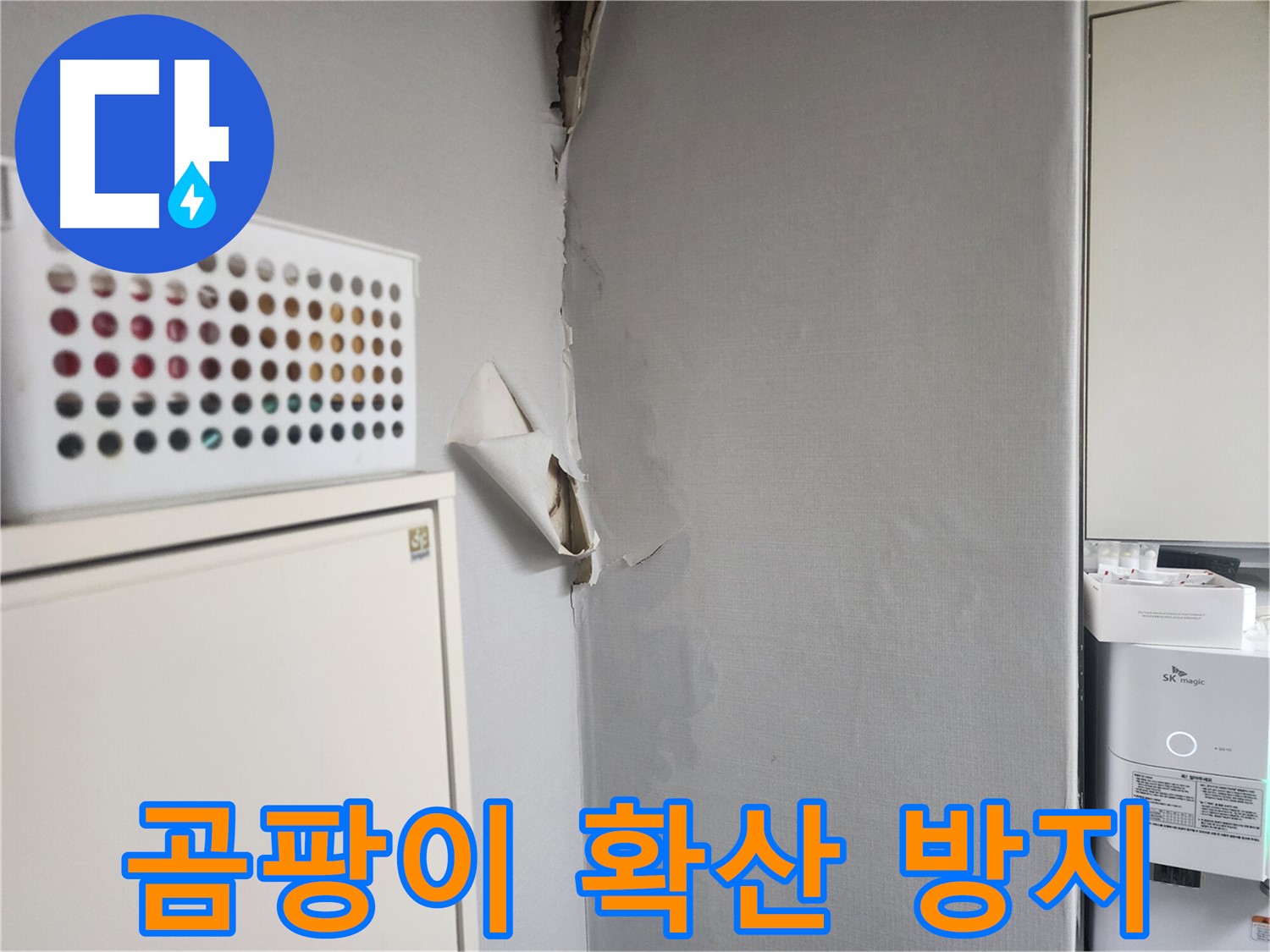 수원 권선구 두산동아아파트 누수 - 곰팡이 확산 방지를 위한 긴급 습기 제거 및 살균 작업