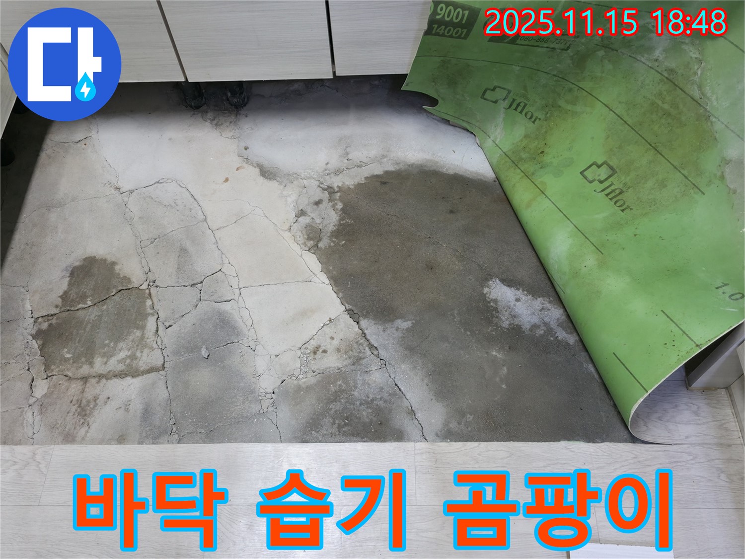 포천 호병로 선경빌라 누수 - 콘크리트 바닥 습기와 곰팡이 제거 작업