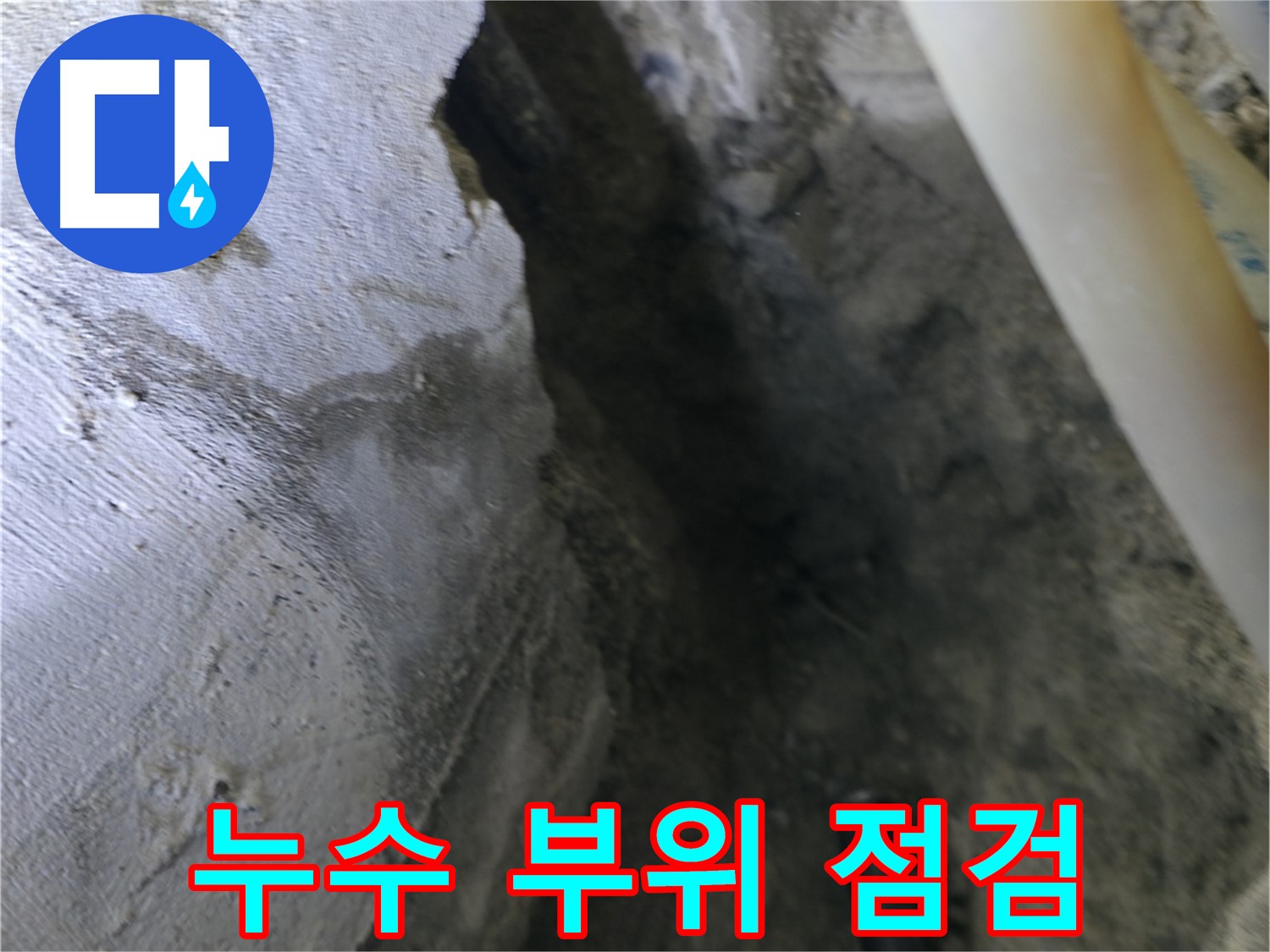 천장 누수 - 부위를 집중적으로 점검하고 있습니다.
