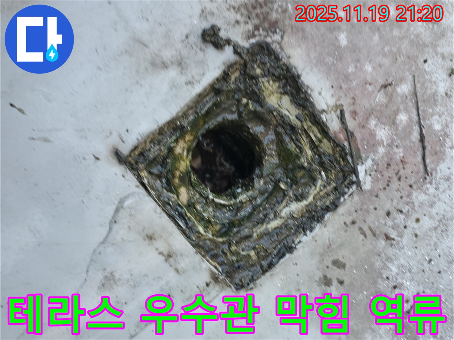 금천구 독산동 누수 - 테라스 우수관 막힘으로 인한 빗물 역류, 누수 발생