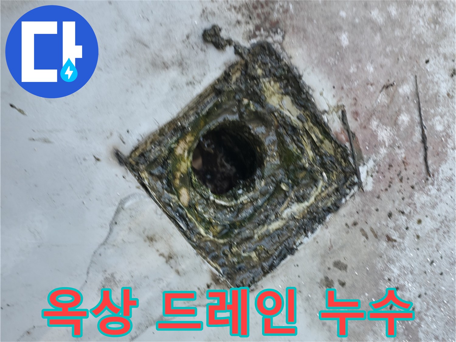 금천구 독산동 옥상 방수층 손상 - 드레인 주변 누수 발생