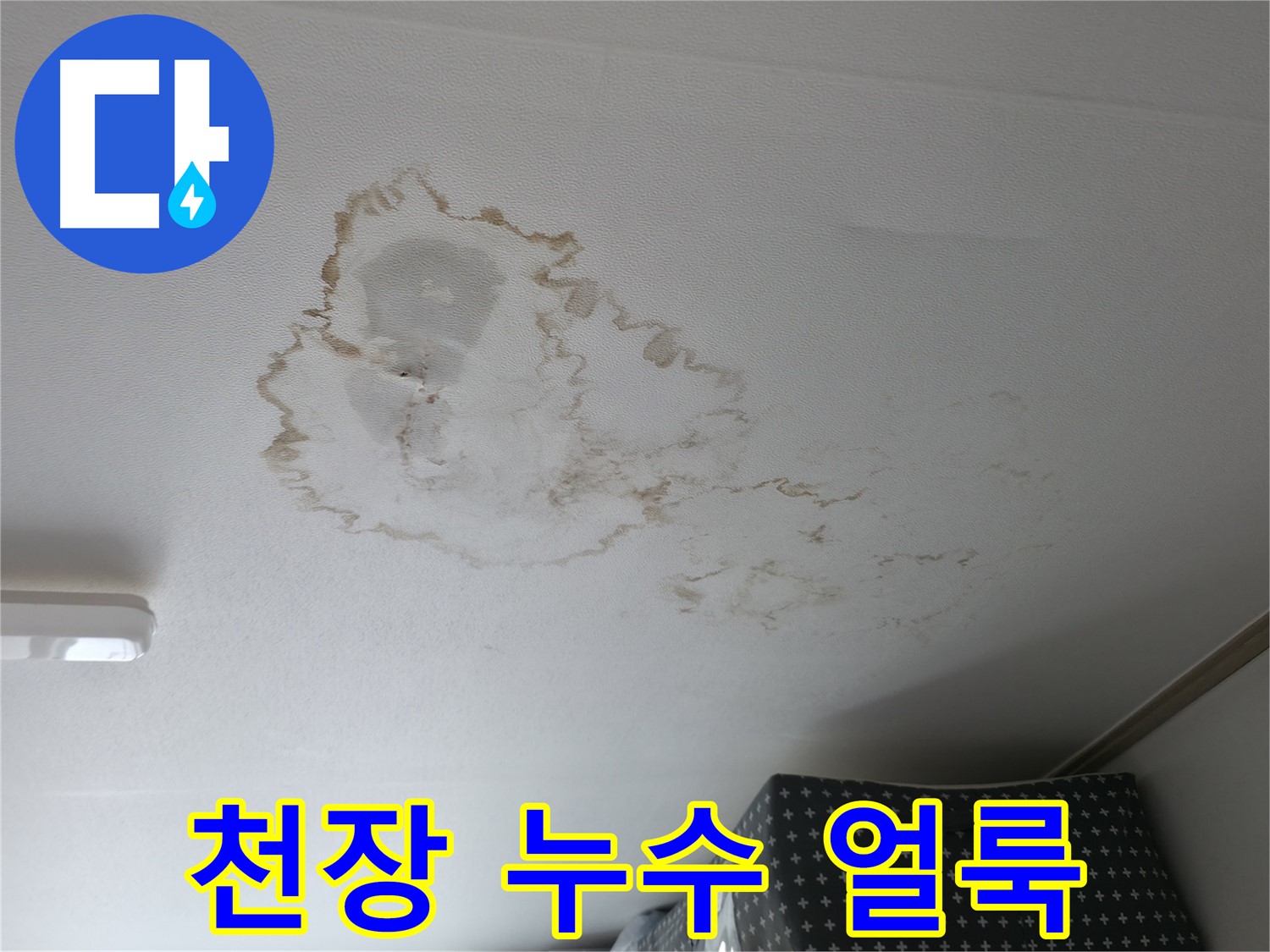 천장 누수 - 얼룩 - 건물 손상