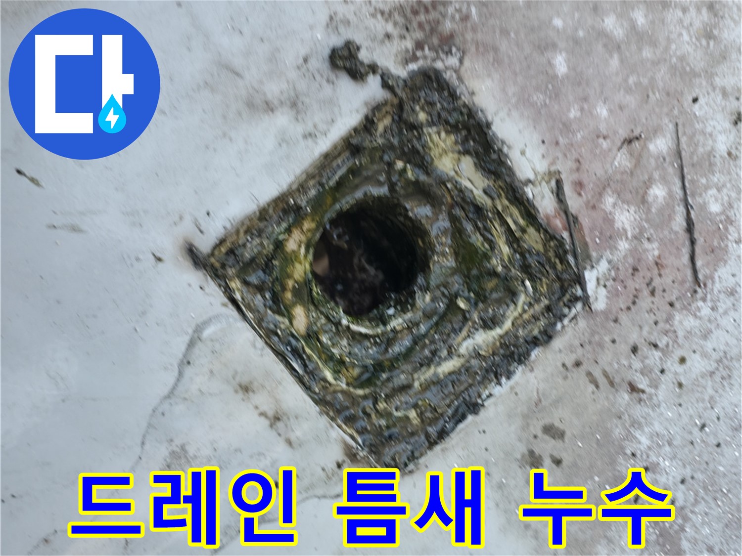 독산동 옥상 드레인과 바닥 사이 틈새 누수 - 완벽한 틈새 메우기
