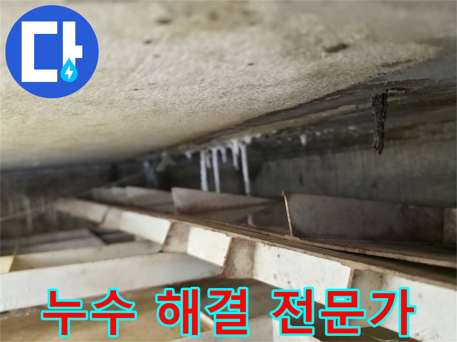 금천구 누수 전문가 - 독산동 현진아트빌 슬라브 누수 해결을 위해 최선을 다하겠습니다.