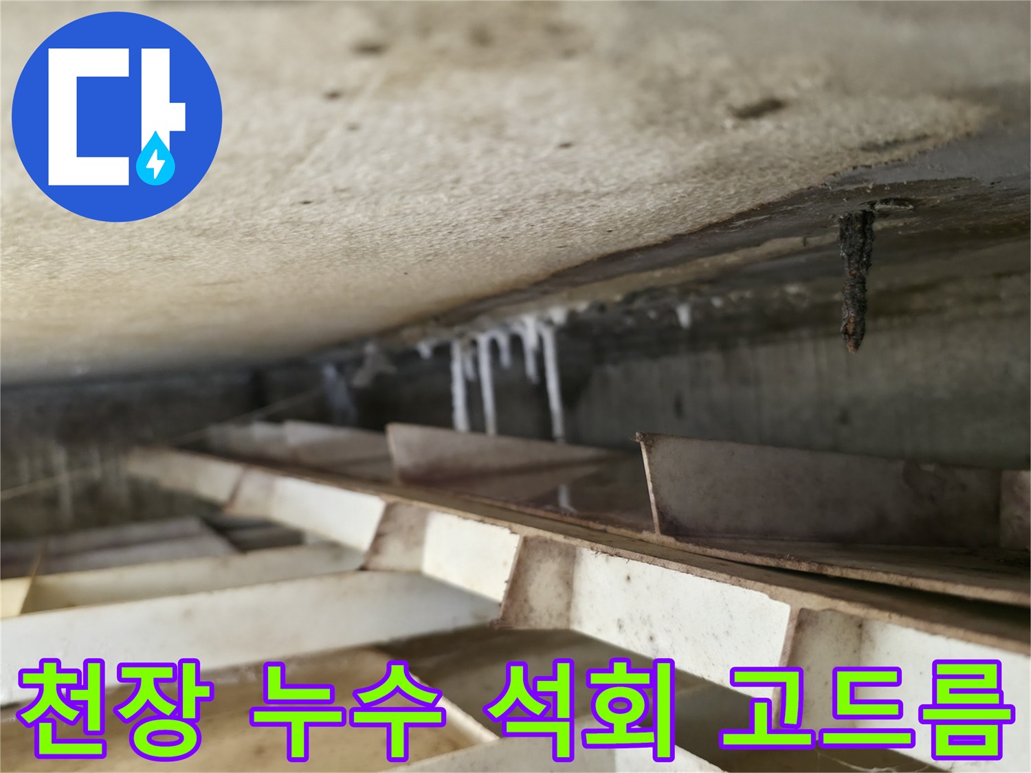 독산로43가길 누수 현장 - 천장에 매달린 석회 고드름은 슬라브 누수의 흔적을 보여줍니다. 빠른 조치가 필요합니다.