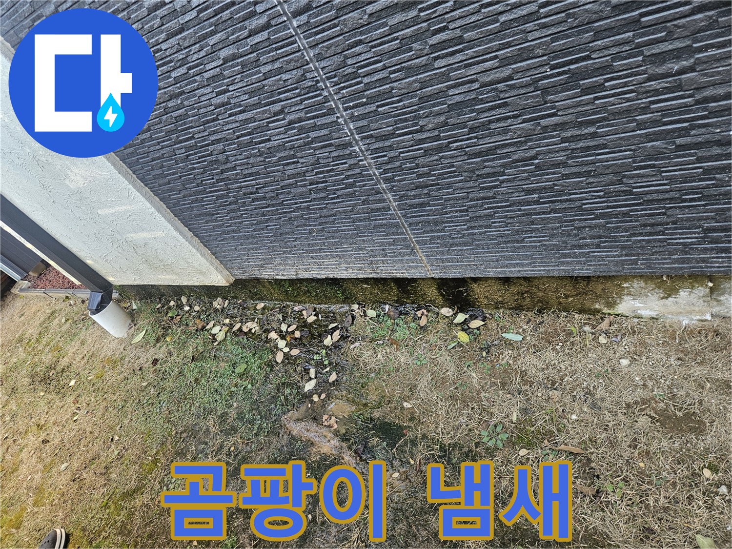 이천 마장 외벽 누수 - 습기로 인한 곰팡이 냄새 - 쾌적한 환경 저해