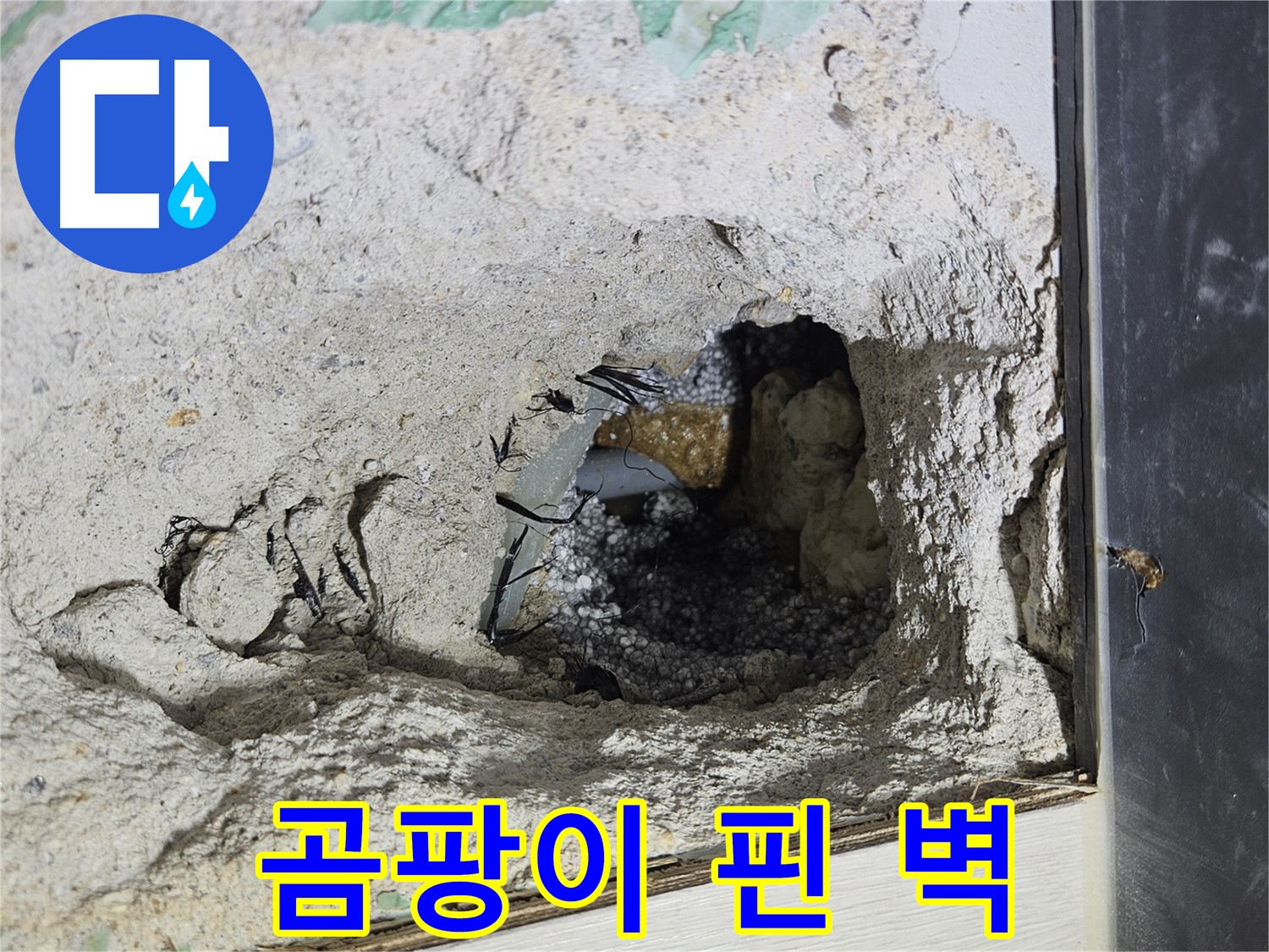 이천 아리역로 누수 - 콘크리트 속 곰팡이 핀 벽, 이건 빼박 누수의 증거!