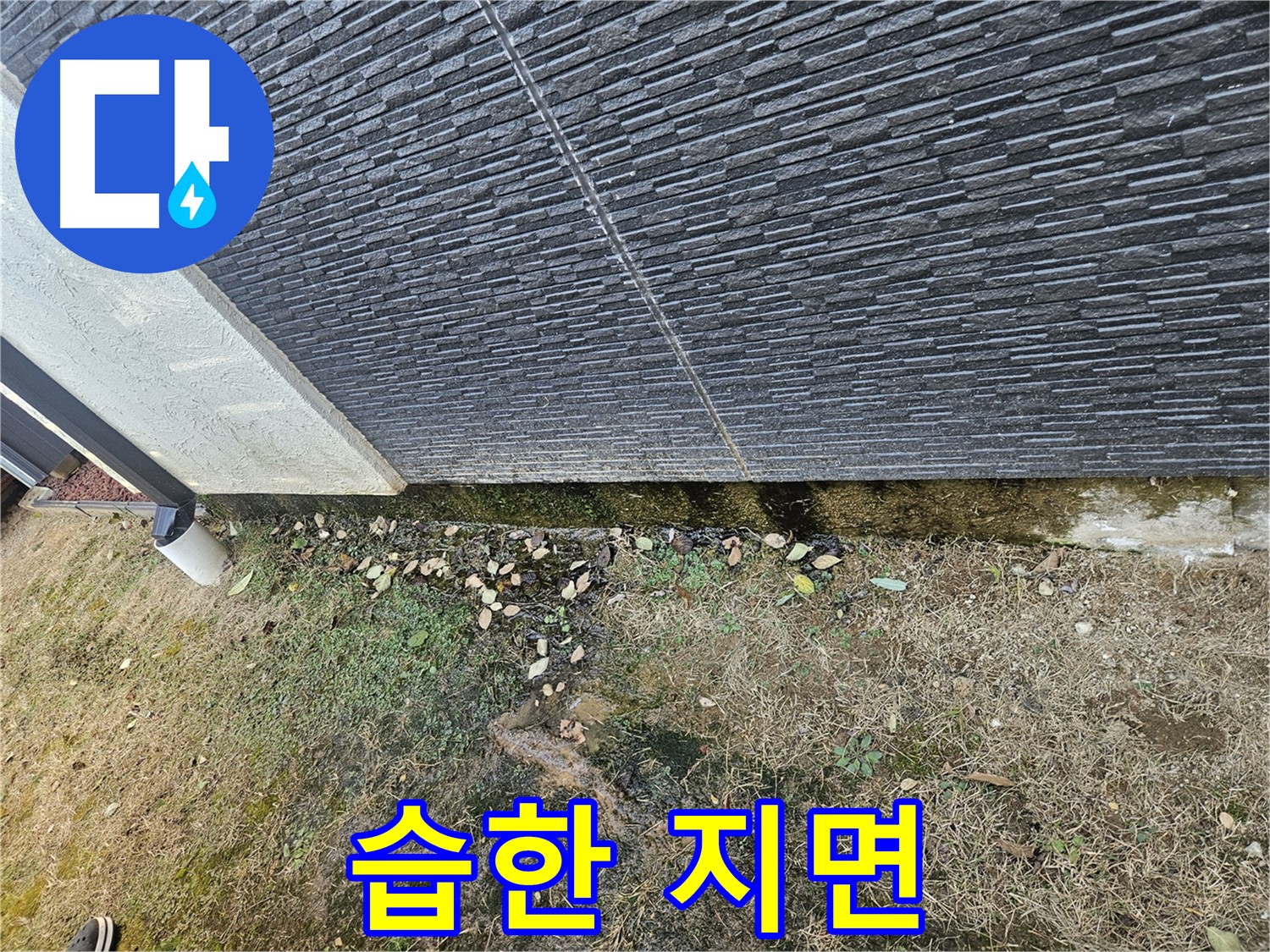 이천시 아리역로 주변 외벽 누수 위험 - 습한 지면 냄새 - 쾌적한 환경 조성